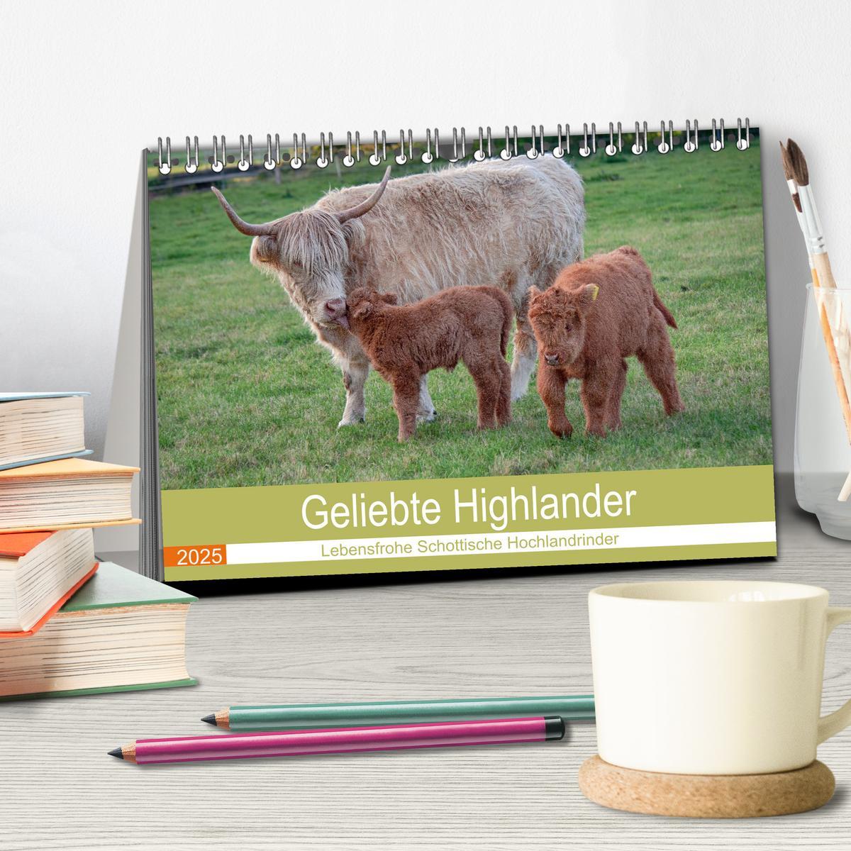 Bild: 9783435100330 | Geliebte Highlander (Tischkalender 2025 DIN A5 quer), CALVENDO...