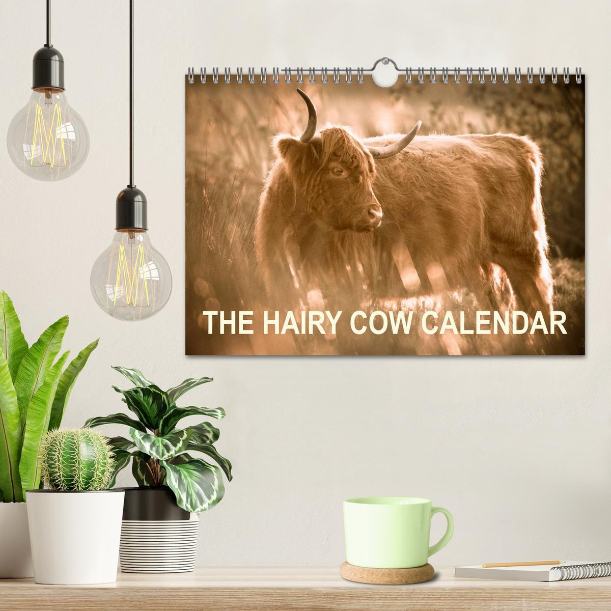 Bild: 9781325956616 | The Hairy Cow Calendar (Wall Calendar 2025 DIN A4 landscape),...