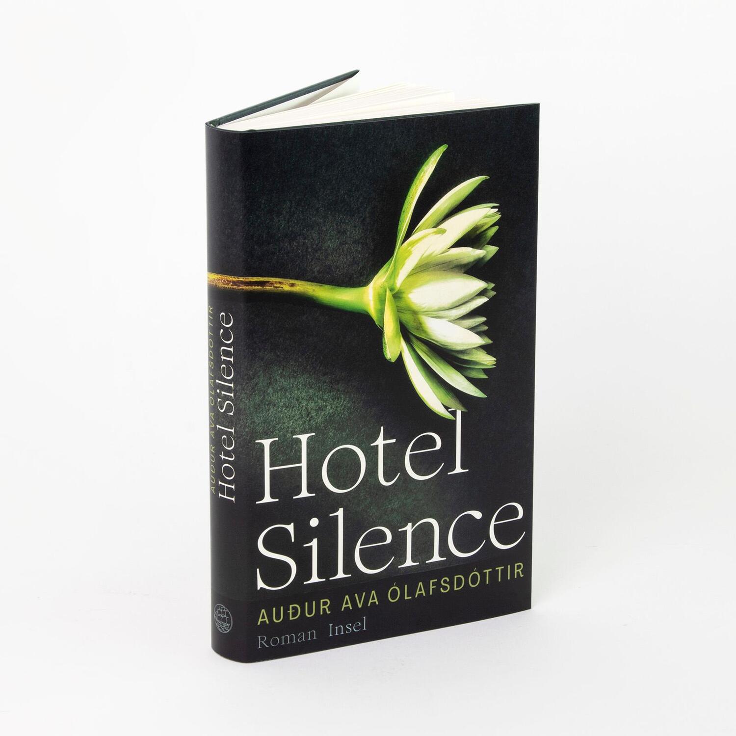 Bild: 9783458643807 | Hotel Silence | Auður Ava Ólafsdóttir | Buch | 208 S. | Deutsch | 2023