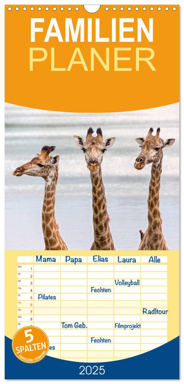 Cover: 9783457122303 | Familienplaner 2025 - Afrikas Tierwelt: Giraffen mit 5 Spalten...