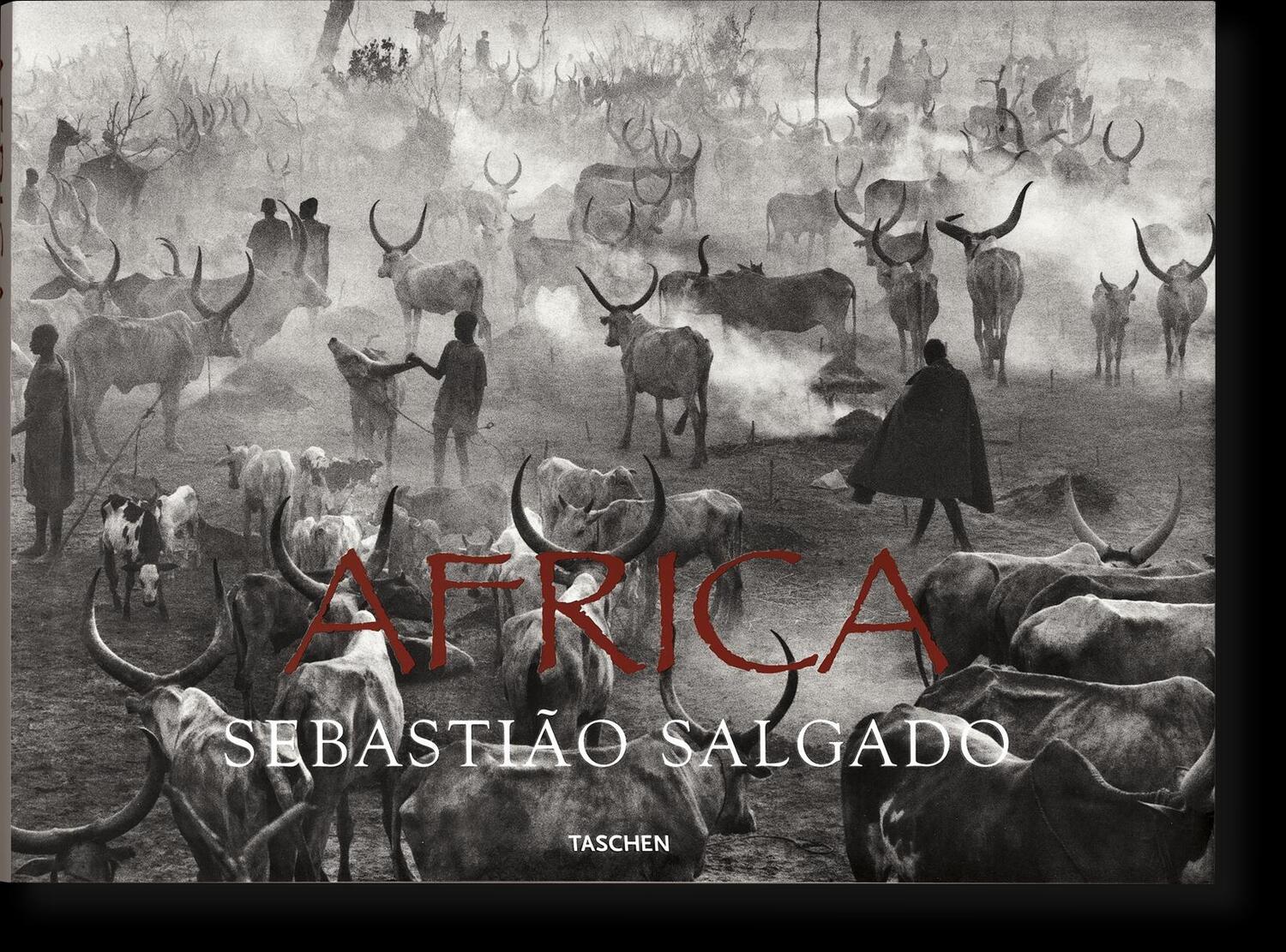 Cover: 9783822856215 | Sebastião Salgado. Africa | Mia Couto | Buch | 336 S. | Deutsch | 2007