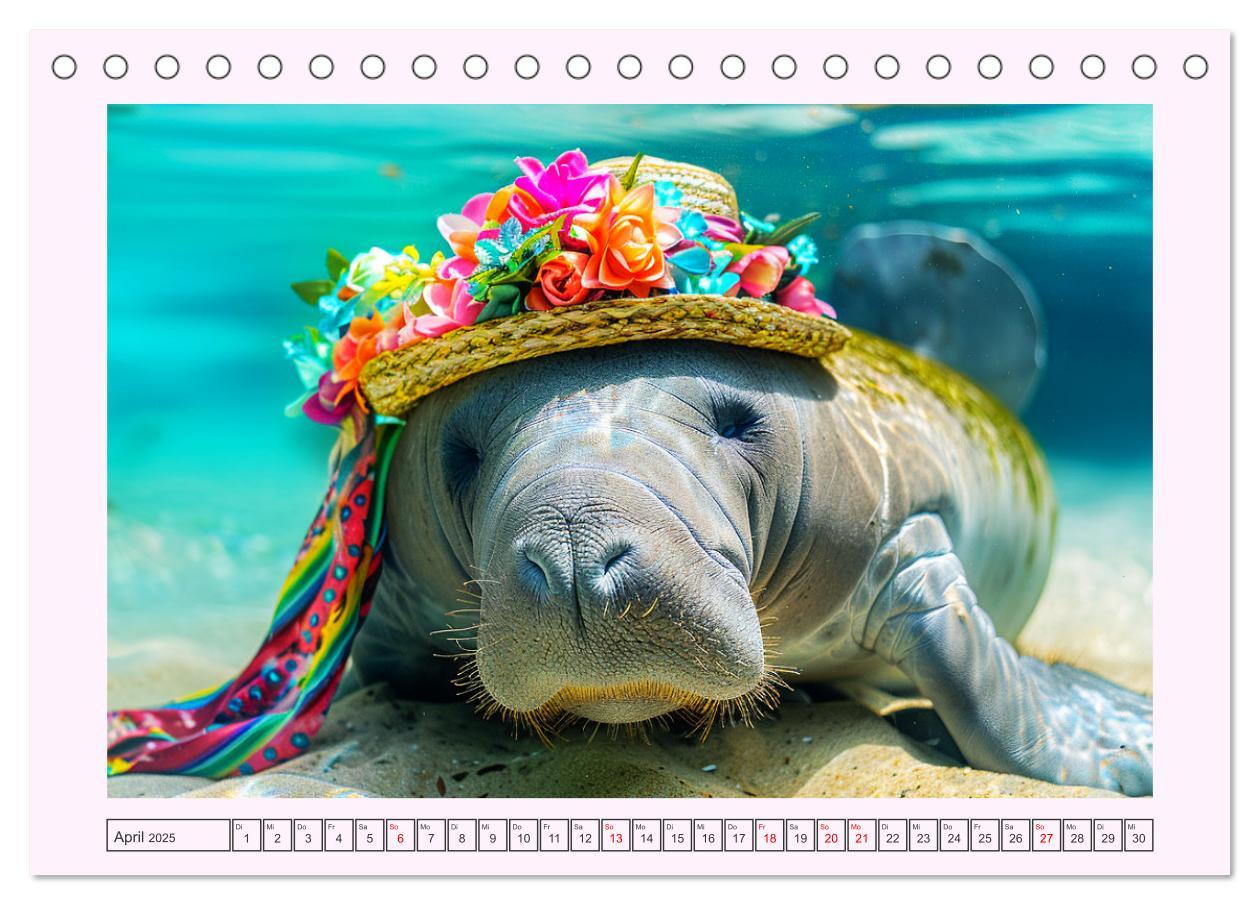 Bild: 9783435470099 | Modische Manatees. Charmante Seekühe mit Stil (Tischkalender 2025...