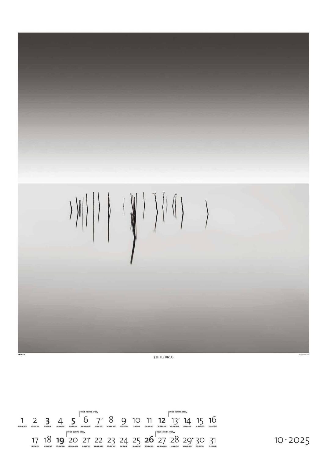 Bild: 4251734300676 | Black &amp; White 2025 - Bildkalender 50x70 cm - Wandkalender XL -...