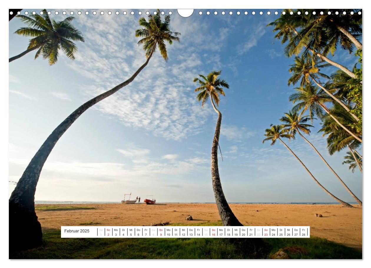 Bild: 9783435828890 | Asien - Sri Lanka (Wandkalender 2025 DIN A3 quer), CALVENDO...