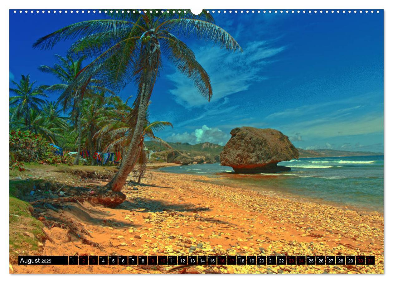 Bild: 9783435453788 | Barbados (Wandkalender 2025 DIN A2 quer), CALVENDO Monatskalender