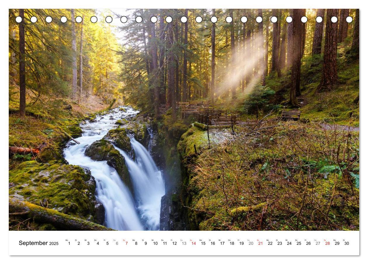 Bild: 9783435605187 | The Olympic National Park - Washington USA (Tischkalender 2025 DIN...