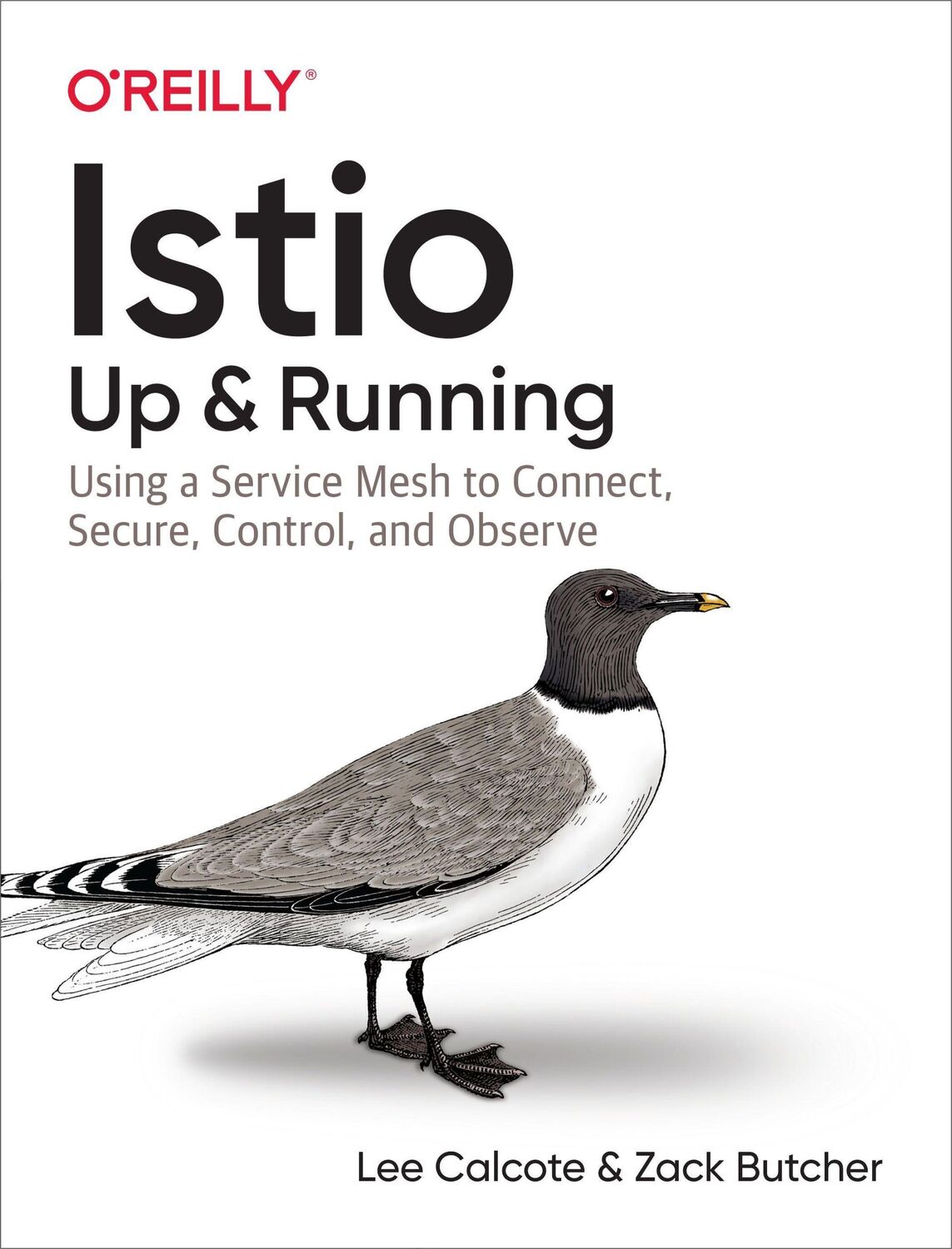 Cover: 9781492043782 | Istio: Up and Running | Lee Calcote (u. a.) | Taschenbuch | Englisch