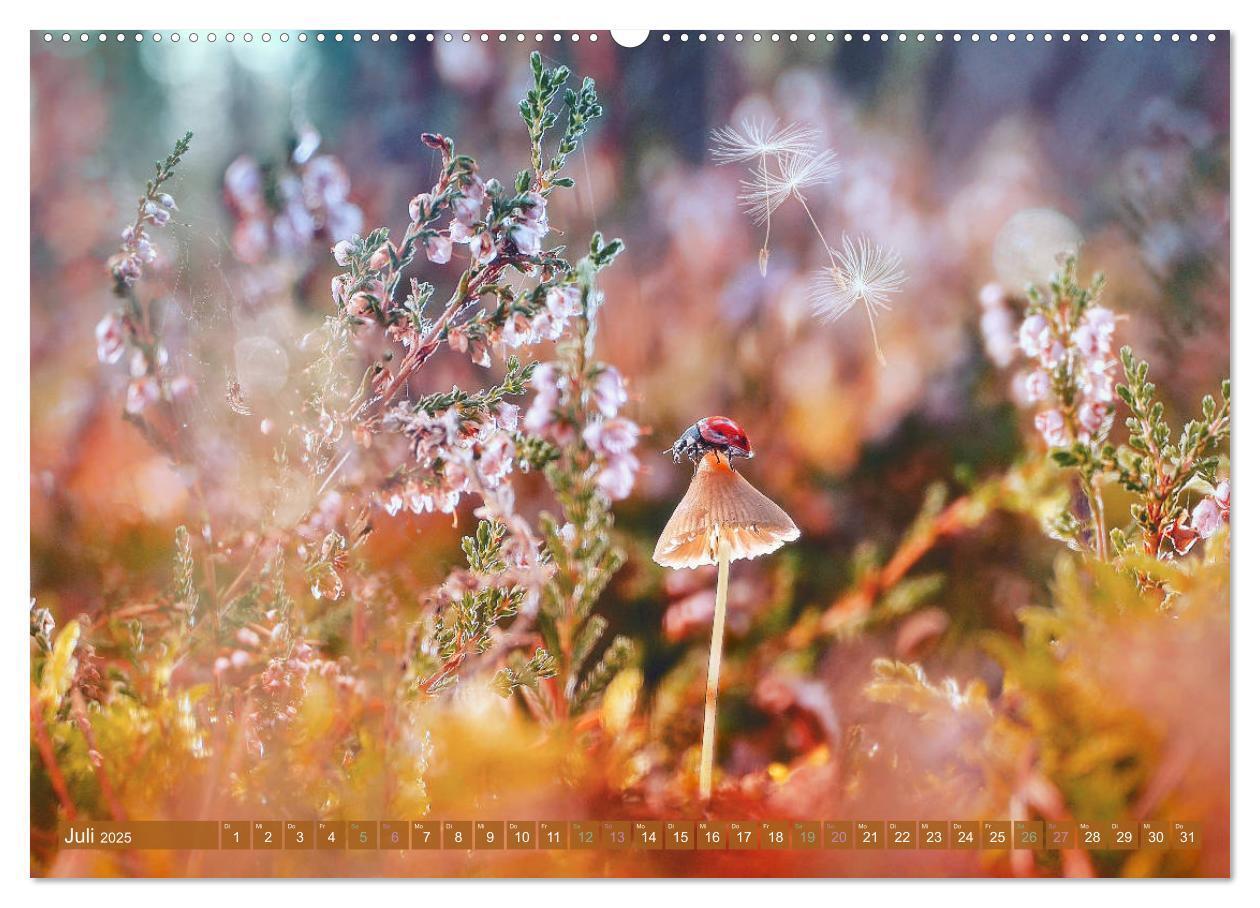 Bild: 9783435092451 | AUGENBLICK ZAUBER (hochwertiger Premium Wandkalender 2025 DIN A2...