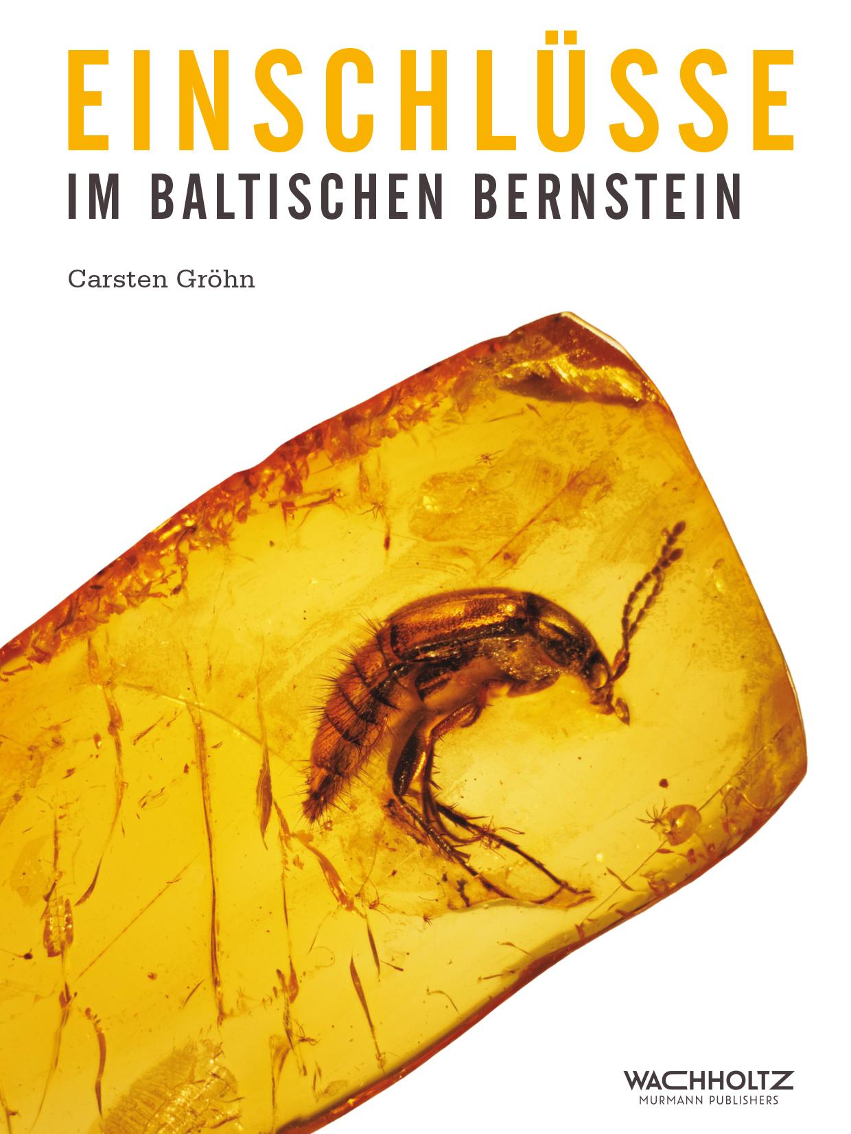 Cover: 9783529054570 | Einschlüsse im baltischen Bernstein | Carsten Gröhn | Buch | 424 S.