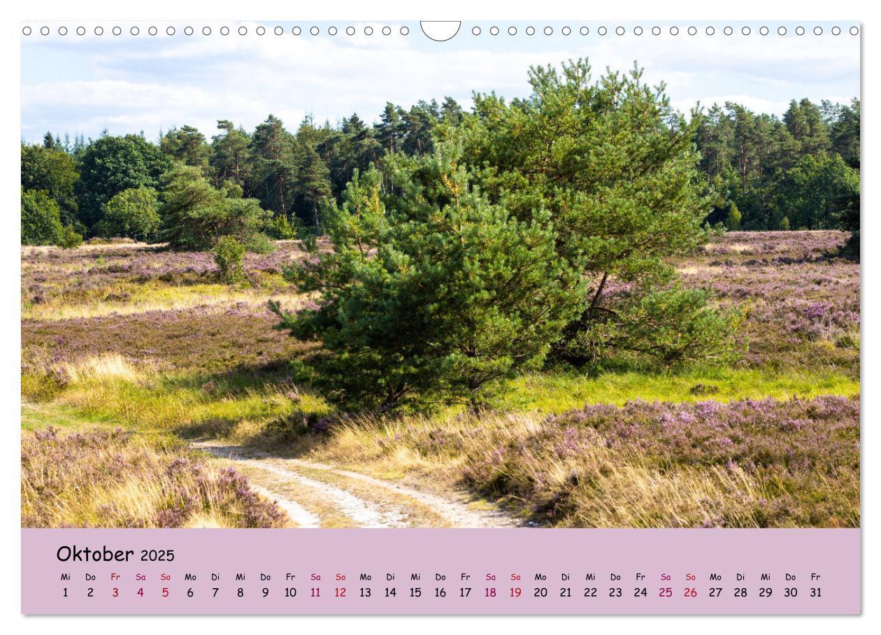 Bild: 9783435030224 | Lüneburger Heide Wege (Wandkalender 2025 DIN A3 quer), CALVENDO...