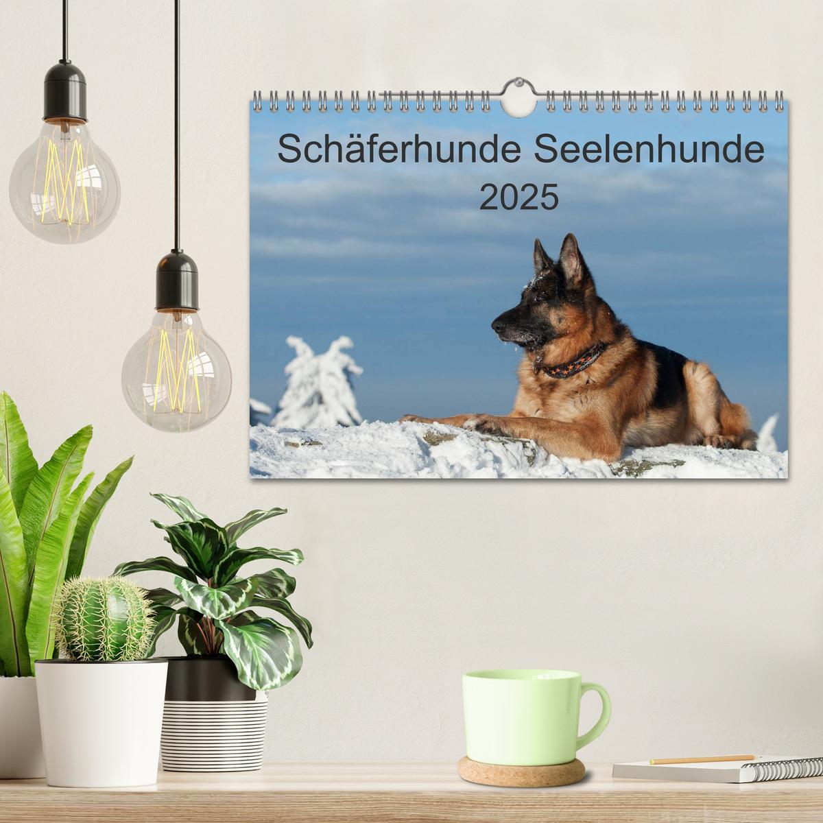 Bild: 9783435495931 | Schäferhunde Seelenhunde (Wandkalender 2025 DIN A4 quer), CALVENDO...