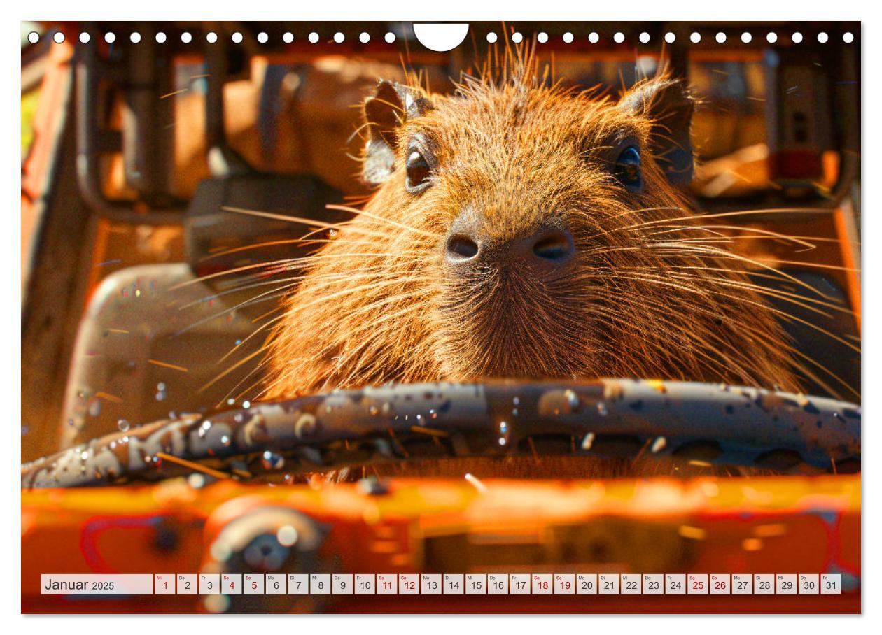 Bild: 9783457163931 | Capybaras im Alltag - Ein Jahr voller Abenteuer (Wandkalender 2025...