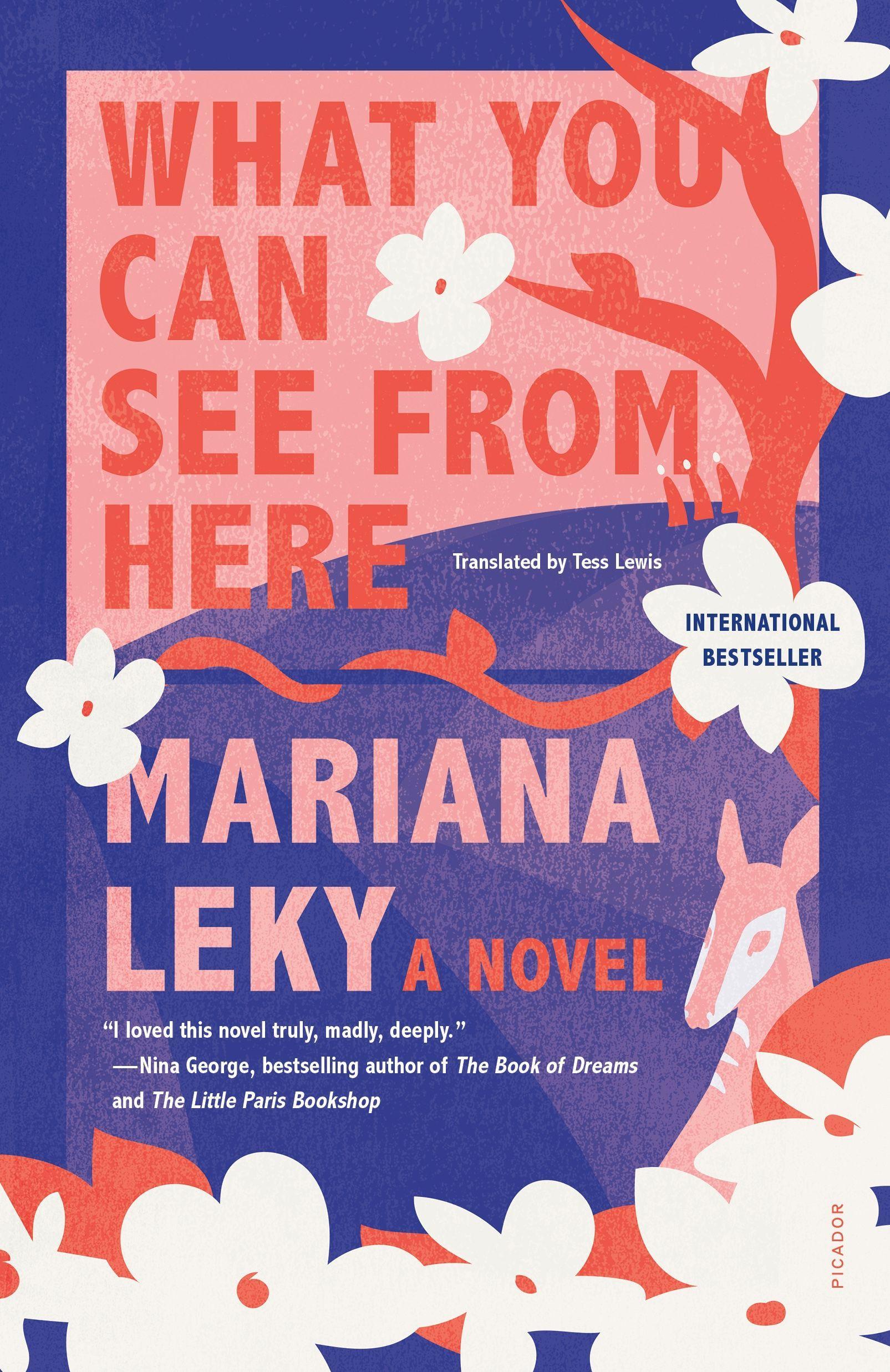 Cover: 9781250849168 | What You Can See from Here | Mariana Leky | Taschenbuch | Englisch