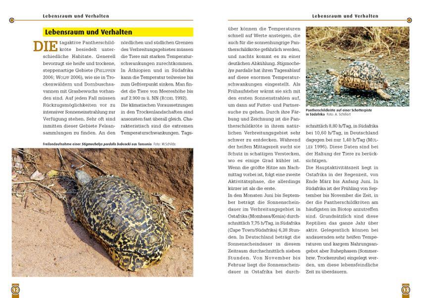 Bild: 9783866591813 | Die Pantherschildkröte | Stigmochelys Pardalis | Mario Herz | Buch