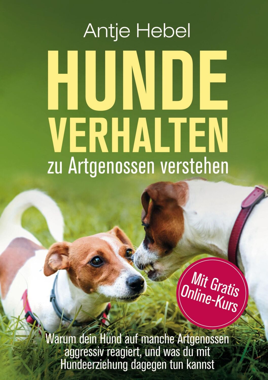 Cover: 9783756273935 | Hundeverhalten zu Artgenossen verstehen | Antje Hebel | Buch | 156 S.