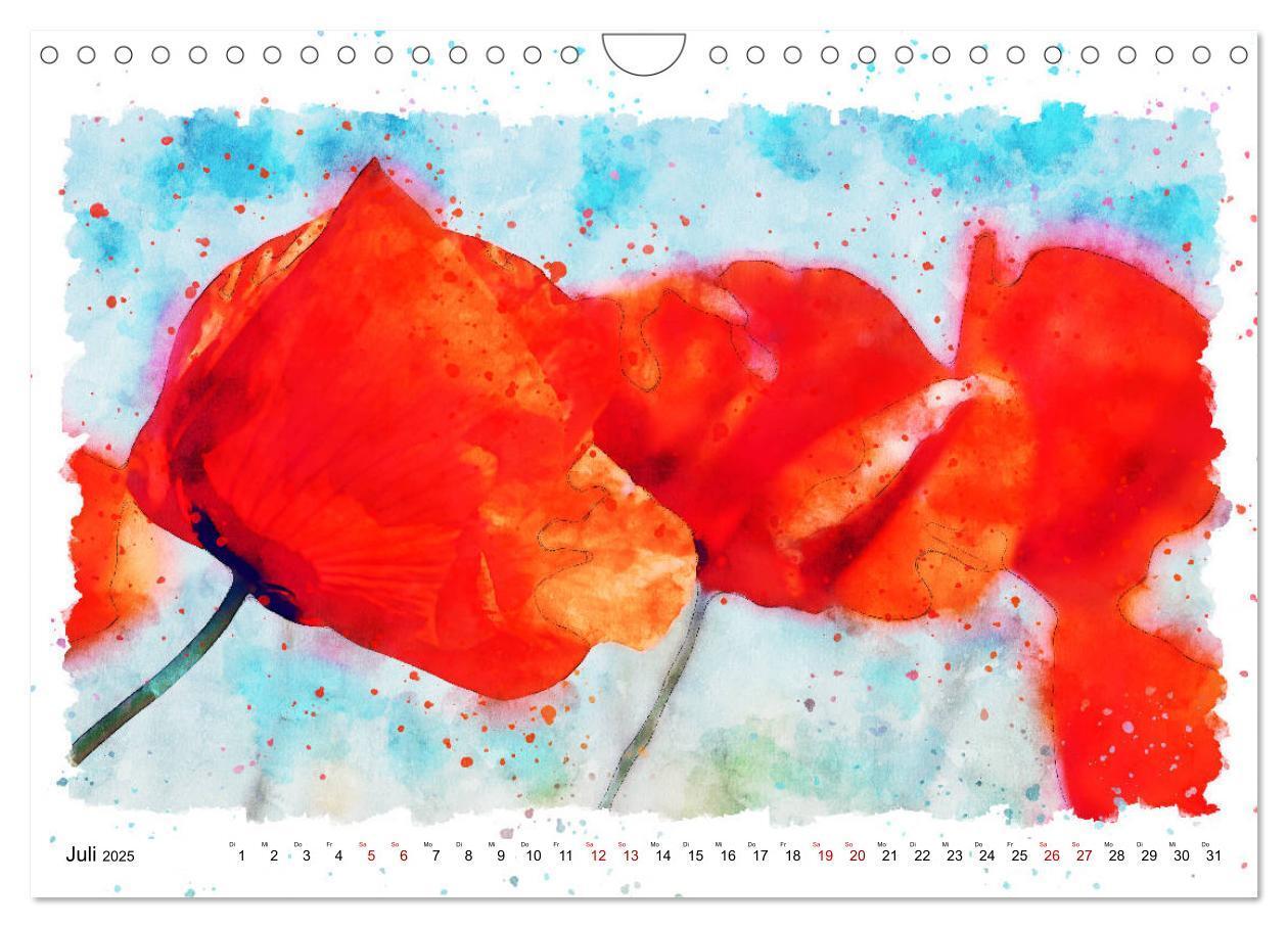 Bild: 9783435141241 | Mohnblüten in Aquarell (Wandkalender 2025 DIN A4 quer), CALVENDO...