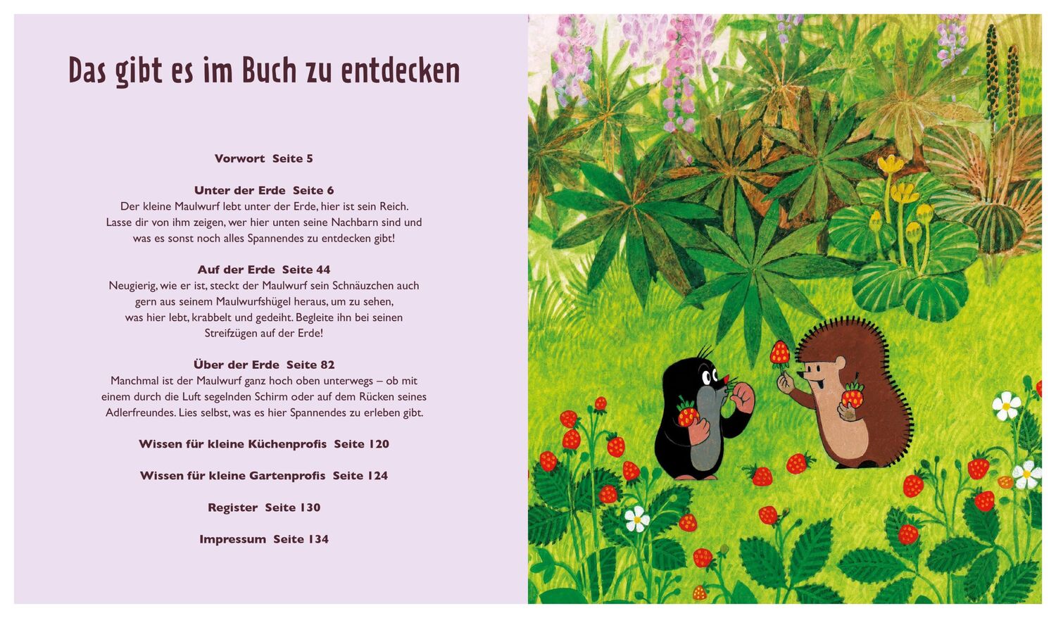 Bild: 9783965841994 | Der kleine Maulwurf: Über und unter der Erde | Zs-Team | Buch | 144 S.