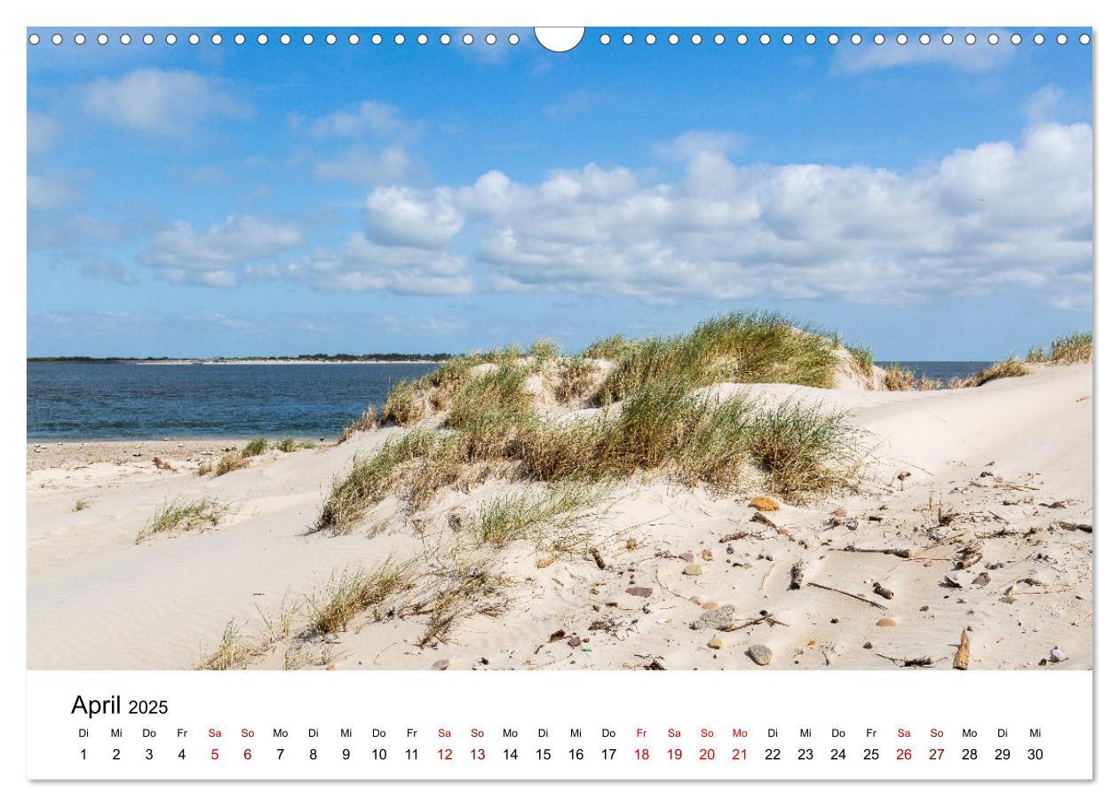 Bild: 9783383895906 | Amrum - Das Paradies in der Nordsee (Wandkalender 2025 DIN A3...