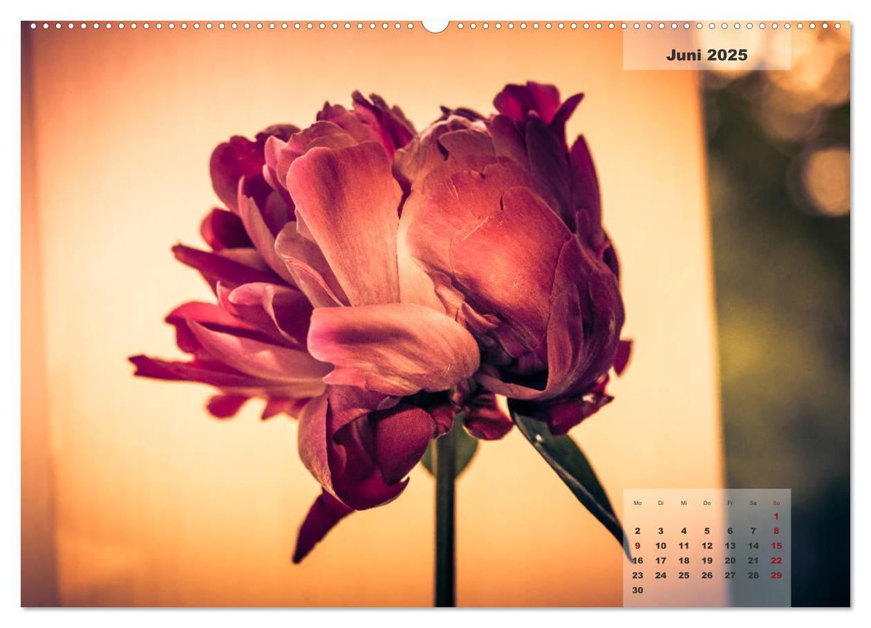 Bild: 9783435301829 | Blüten im Retro-Style (hochwertiger Premium Wandkalender 2025 DIN...