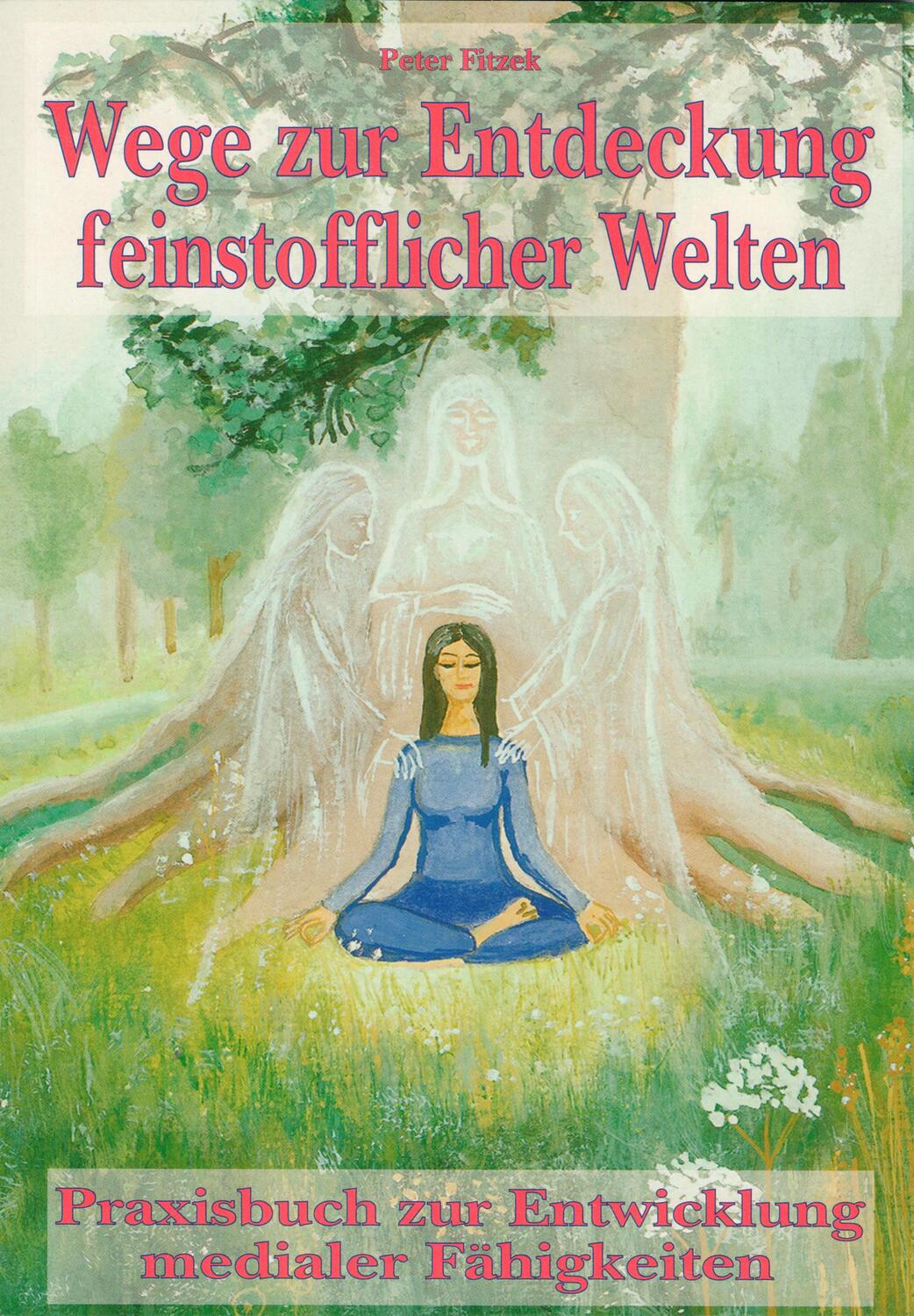 Cover: 9783934402560 | Wege zur Entdeckung feinstofflicher Welten | Peter Fitzek | Buch