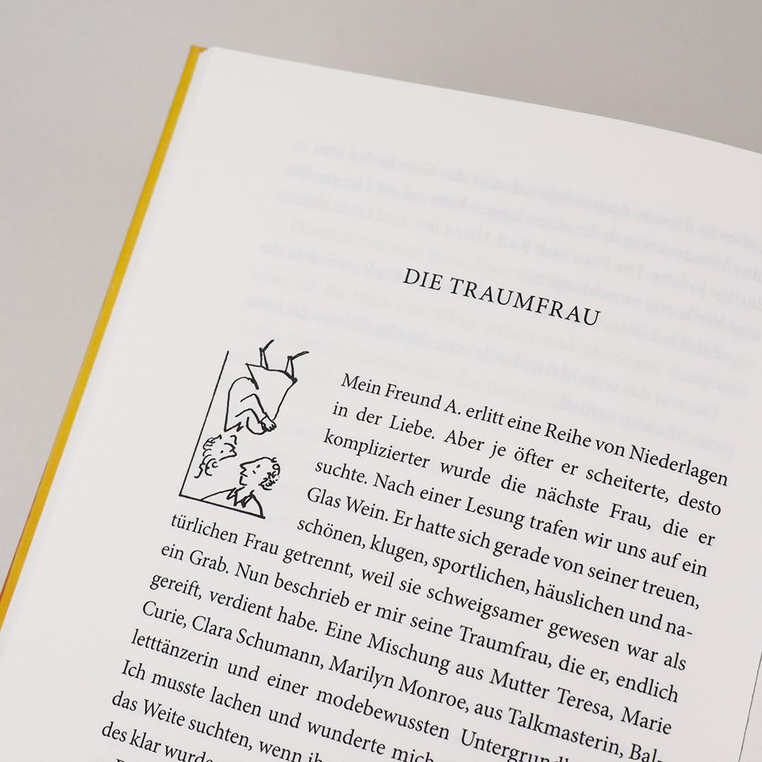 Bild: 9783446262249 | Das große Rafik Schami-Buch | Rafik Schami | Buch | 208 S. | Deutsch