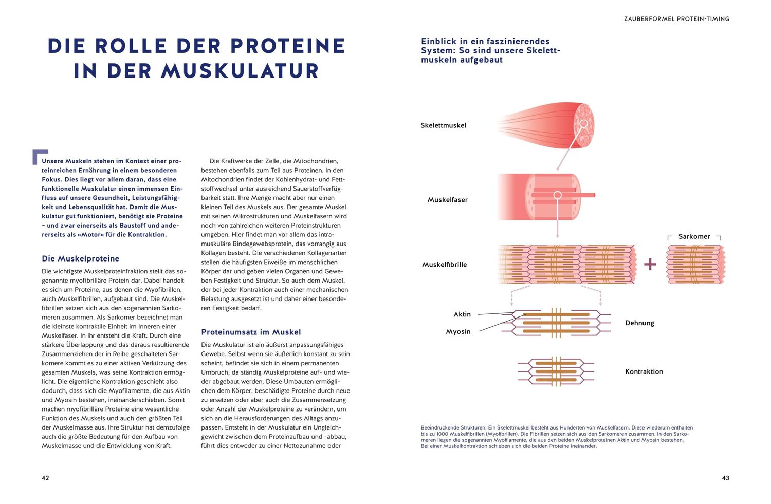 Bild: 9783833888304 | Das Eiweiß-Wunder | Karsten Krüger | Buch | 192 S. | Deutsch | 2022