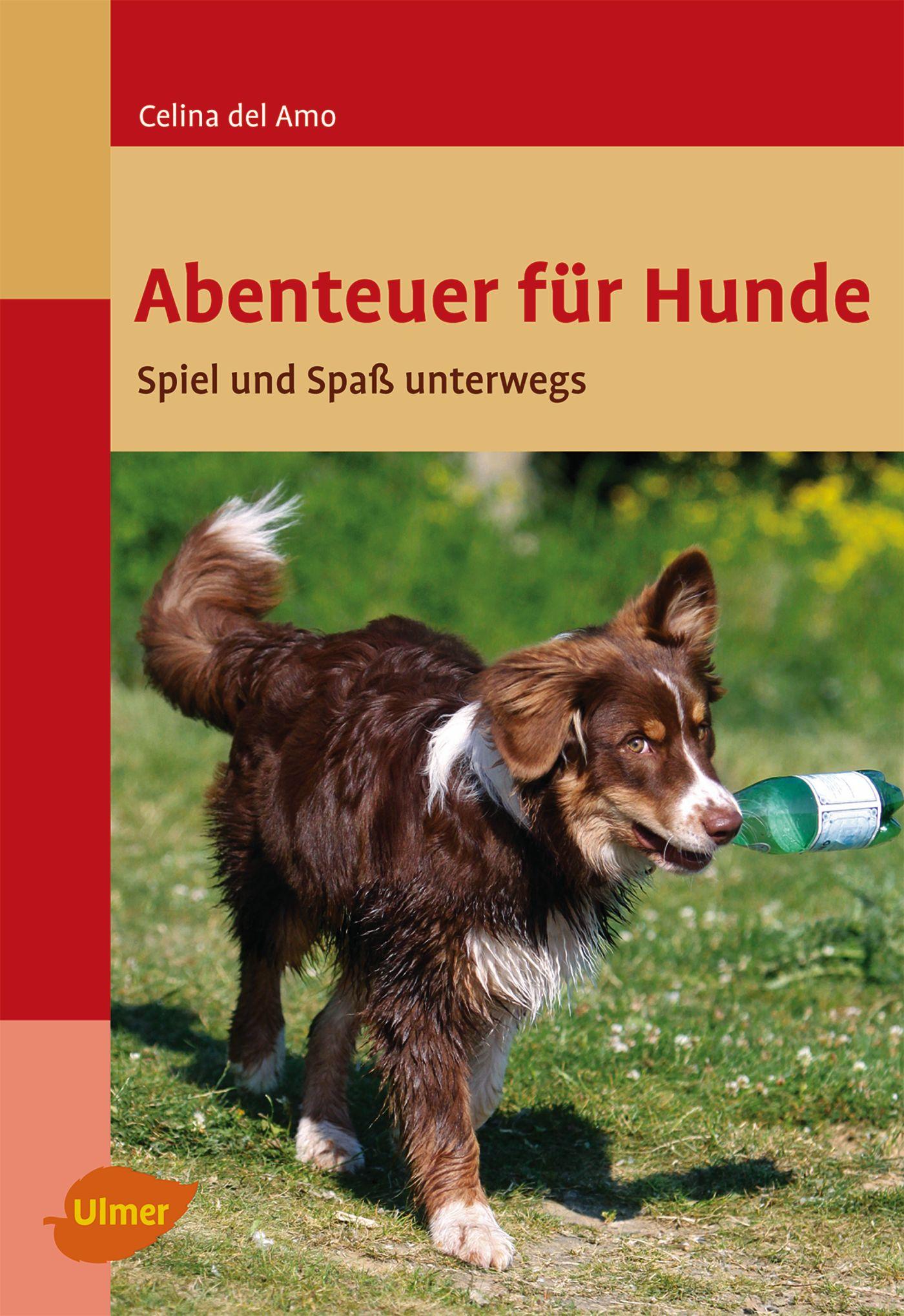 Cover: 9783800167173 | Abenteuer für Hunde | Spiel und Spaß unterwegs | Celina del Amo | Buch