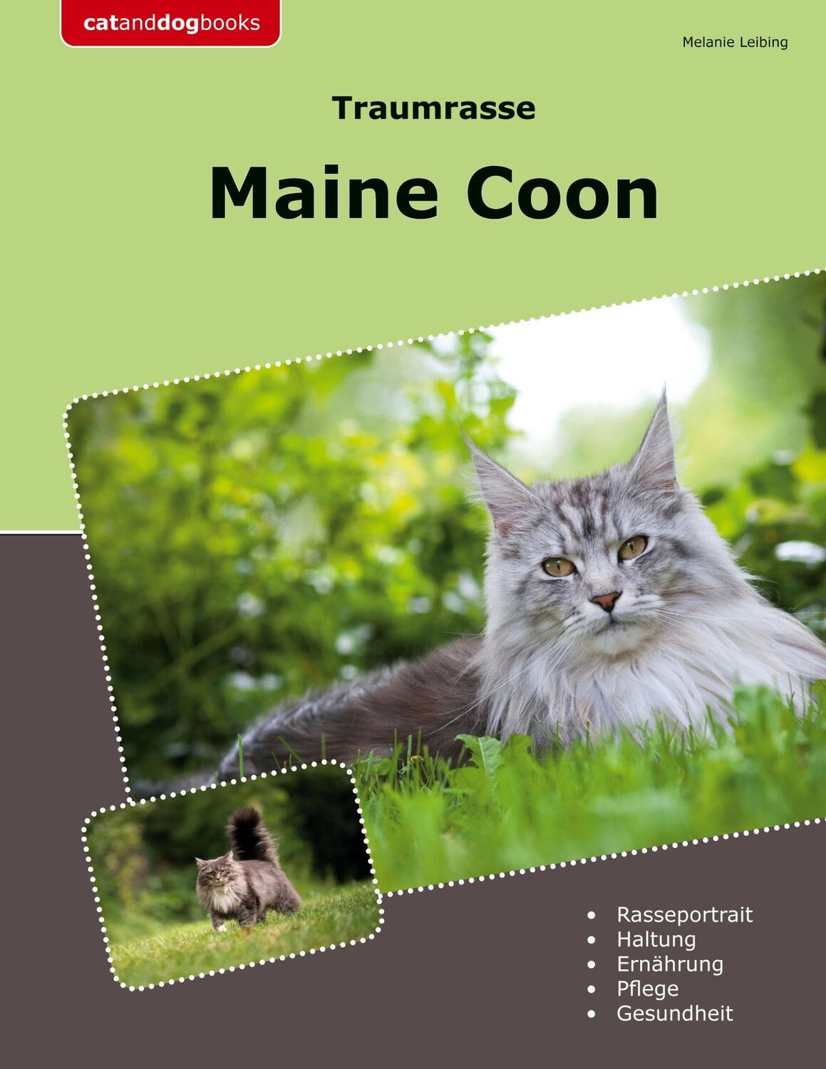 Cover: 9783758387524 | Traumrasse Maine Coon | Melanie Leibing | Taschenbuch | Paperback