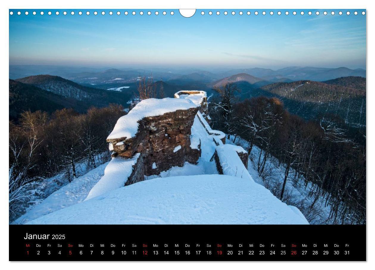 Bild: 9783435592432 | Mystischer Pfälzer Wald (Wandkalender 2025 DIN A3 quer), CALVENDO...