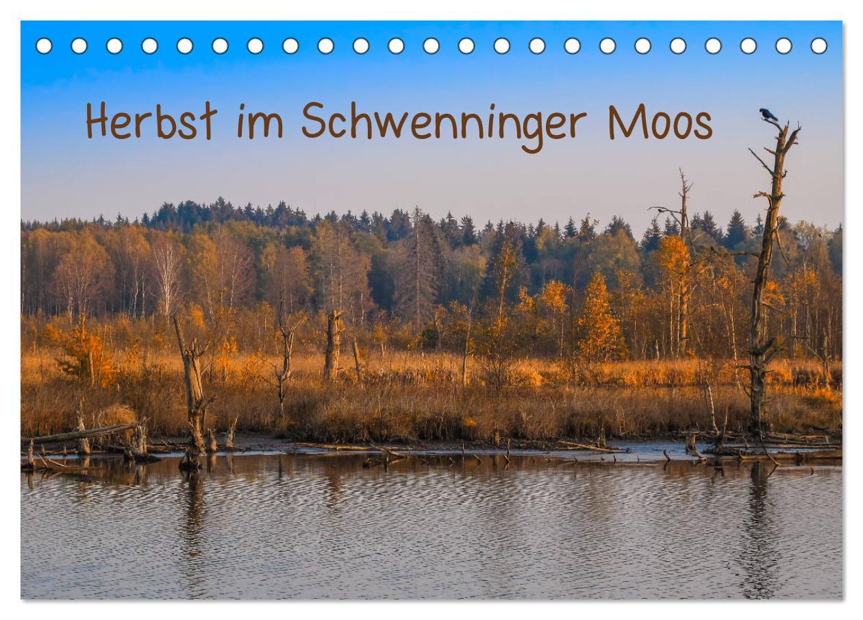 Cover: 9783435227181 | Herbst im Schwenninger Moos (Tischkalender 2025 DIN A5 quer),...