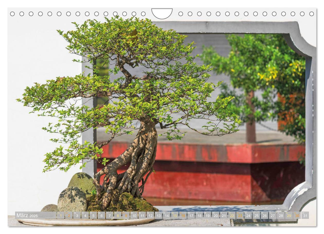 Bild: 9783457198117 | Gartenkunst aus Japan: Bonsai (Wandkalender 2025 DIN A4 quer),...