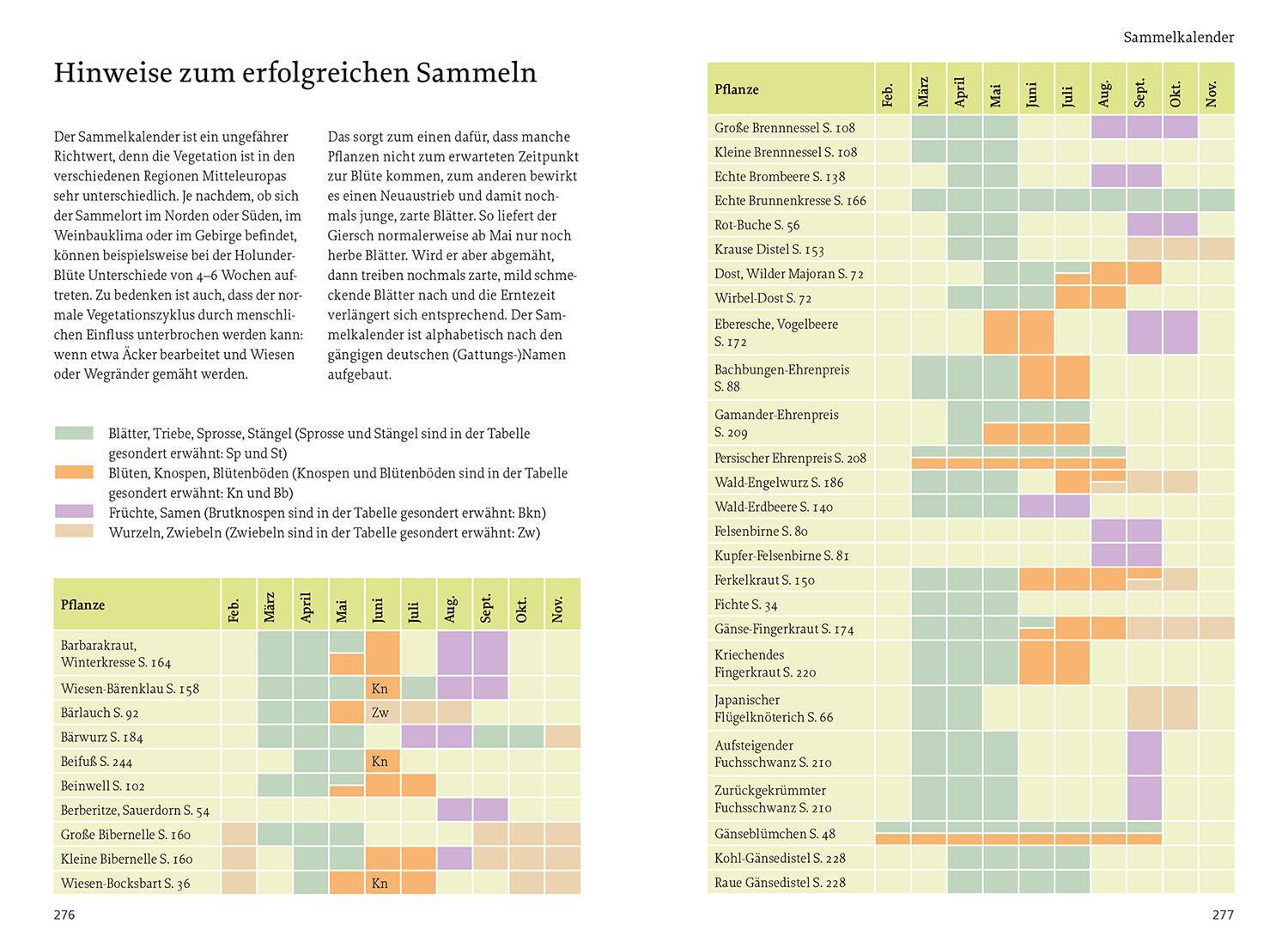 Bild: 9783440174661 | Unsere essbaren Wildpflanzen | Rudi Beiser | Taschenbuch | 296 S.