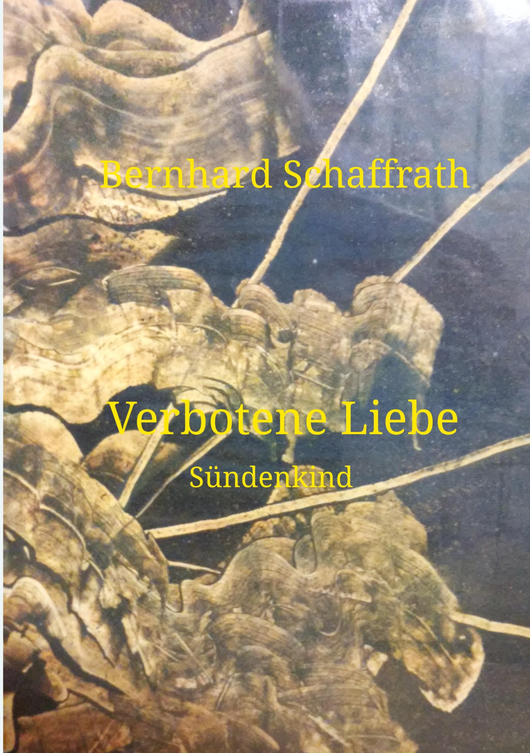 Cover: 9783347979918 | Verbotene Liebe | Sündenkind - Liebe unter Halbgeschwistern | Buch