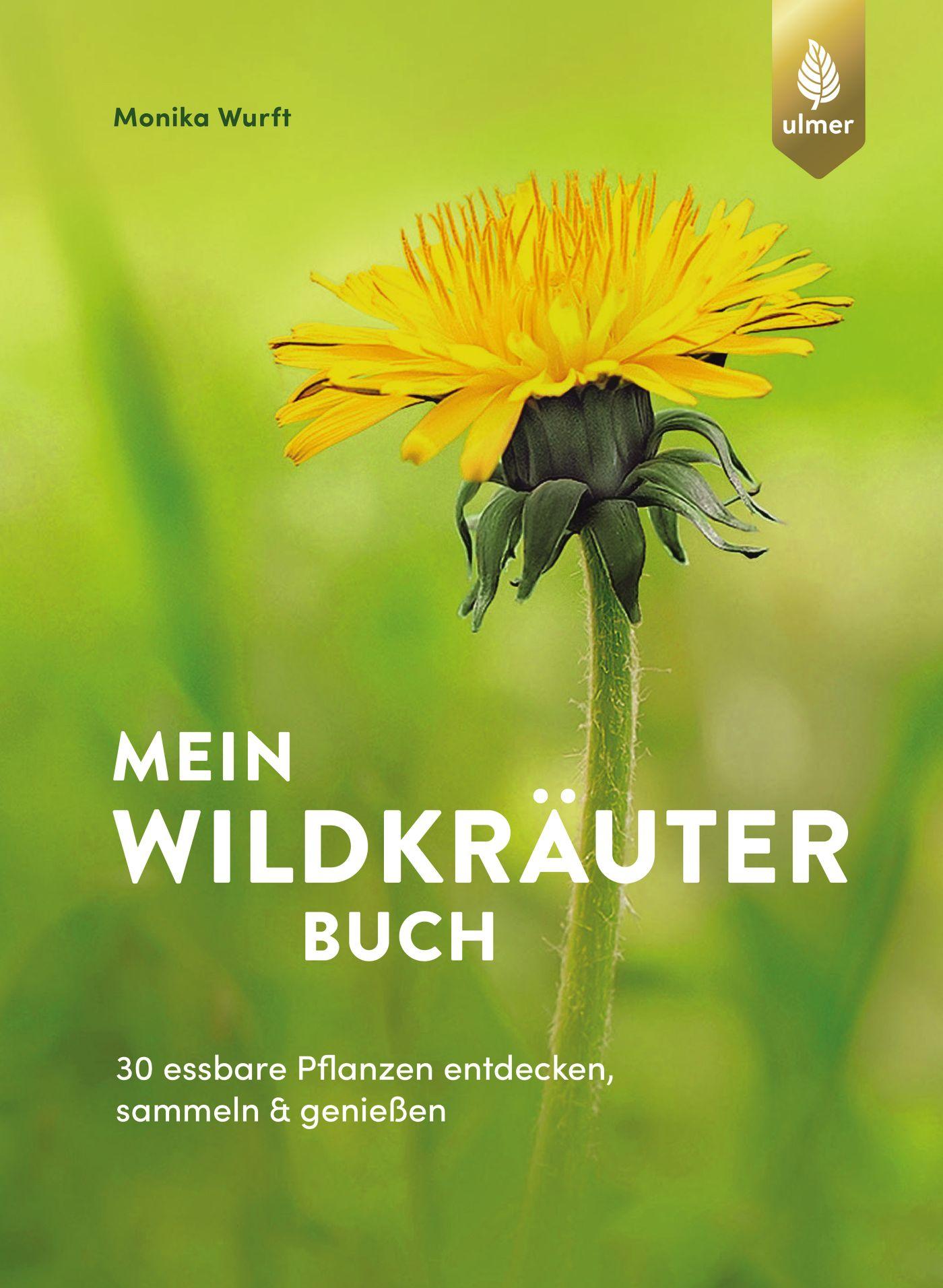 Cover: 9783818611231 | Mein Wildkräuterbuch | Monika Wurft | Taschenbuch | 144 S. | Deutsch