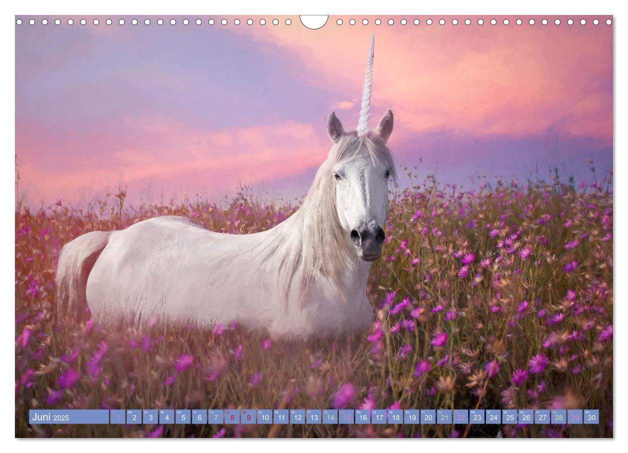 Bild: 9783383960000 | Einhorn Zauber - anmutige Einhornbilder (Wandkalender 2025 DIN A3...