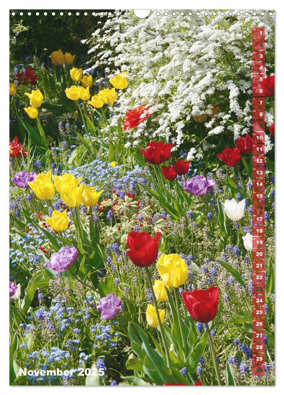 Bild: 9783435966134 | Bunte Tulpenpracht (Wandkalender 2025 DIN A3 hoch), CALVENDO...