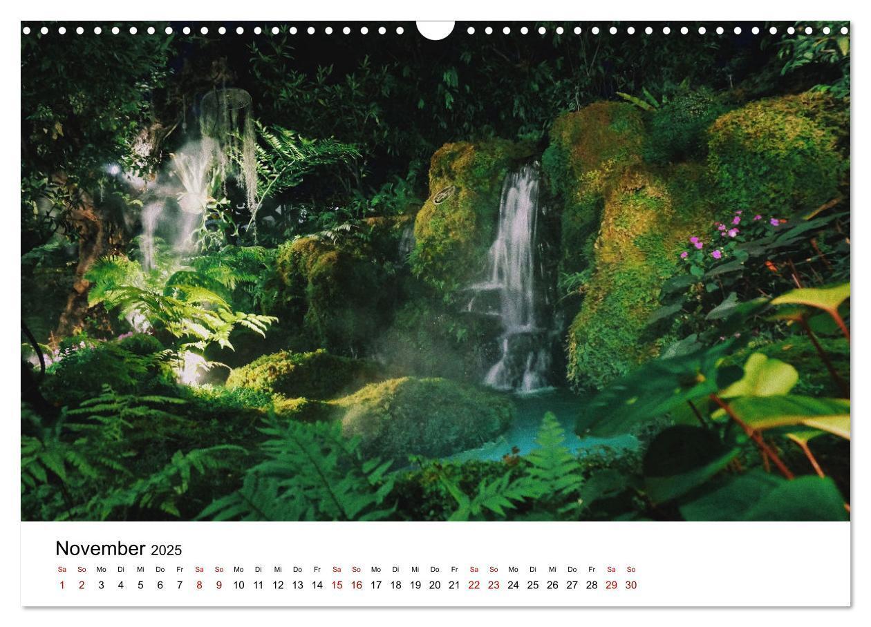 Bild: 9783383998089 | Naturparadies Madagaskar (Wandkalender 2025 DIN A3 quer), CALVENDO...