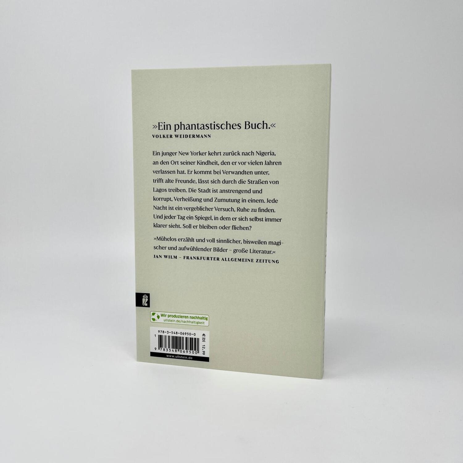 Bild: 9783548069500 | Jeder Tag gehört dem Dieb | Teju Cole | Taschenbuch | 208 S. | Deutsch