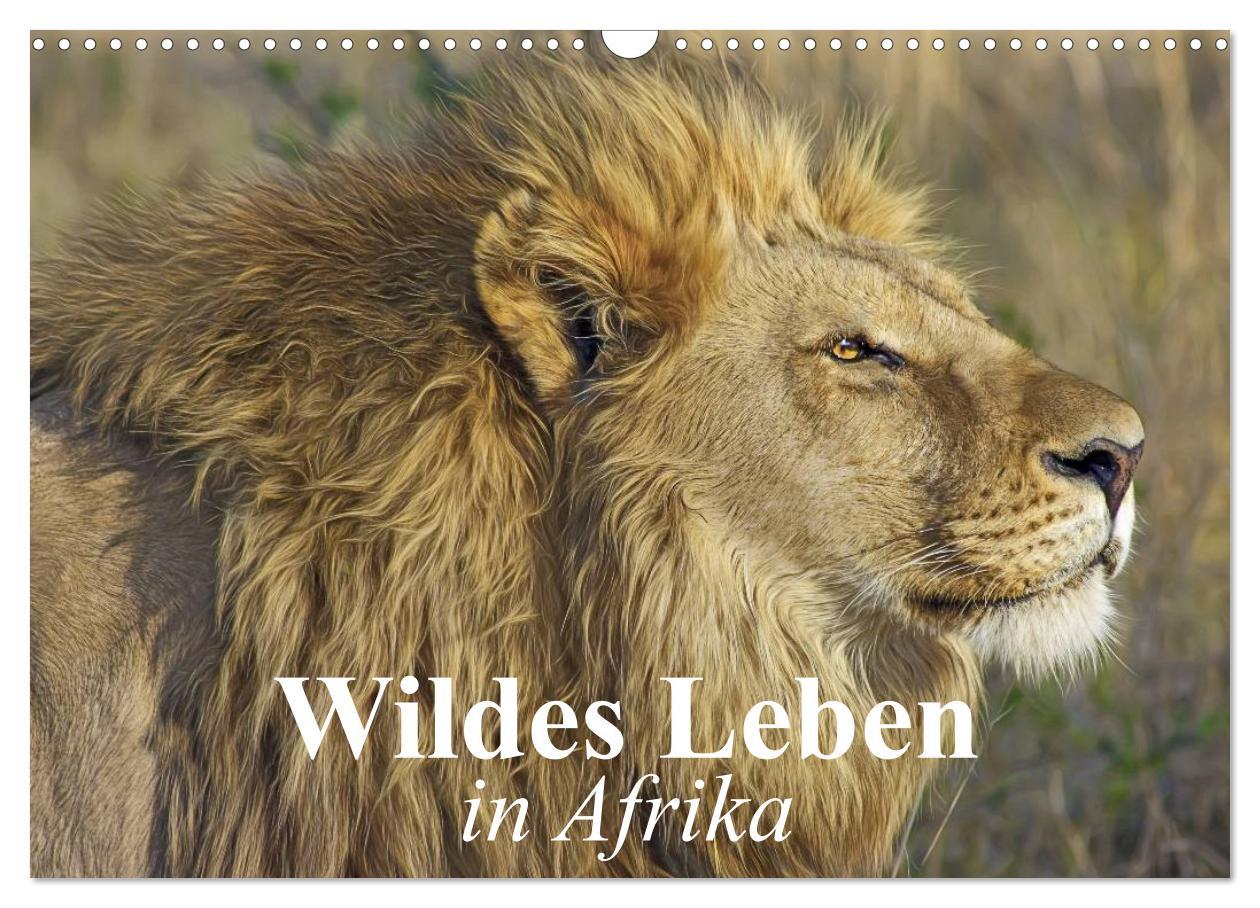 Cover: 9783435632121 | Wildes Leben in Afrika (Wandkalender 2025 DIN A3 quer), CALVENDO...