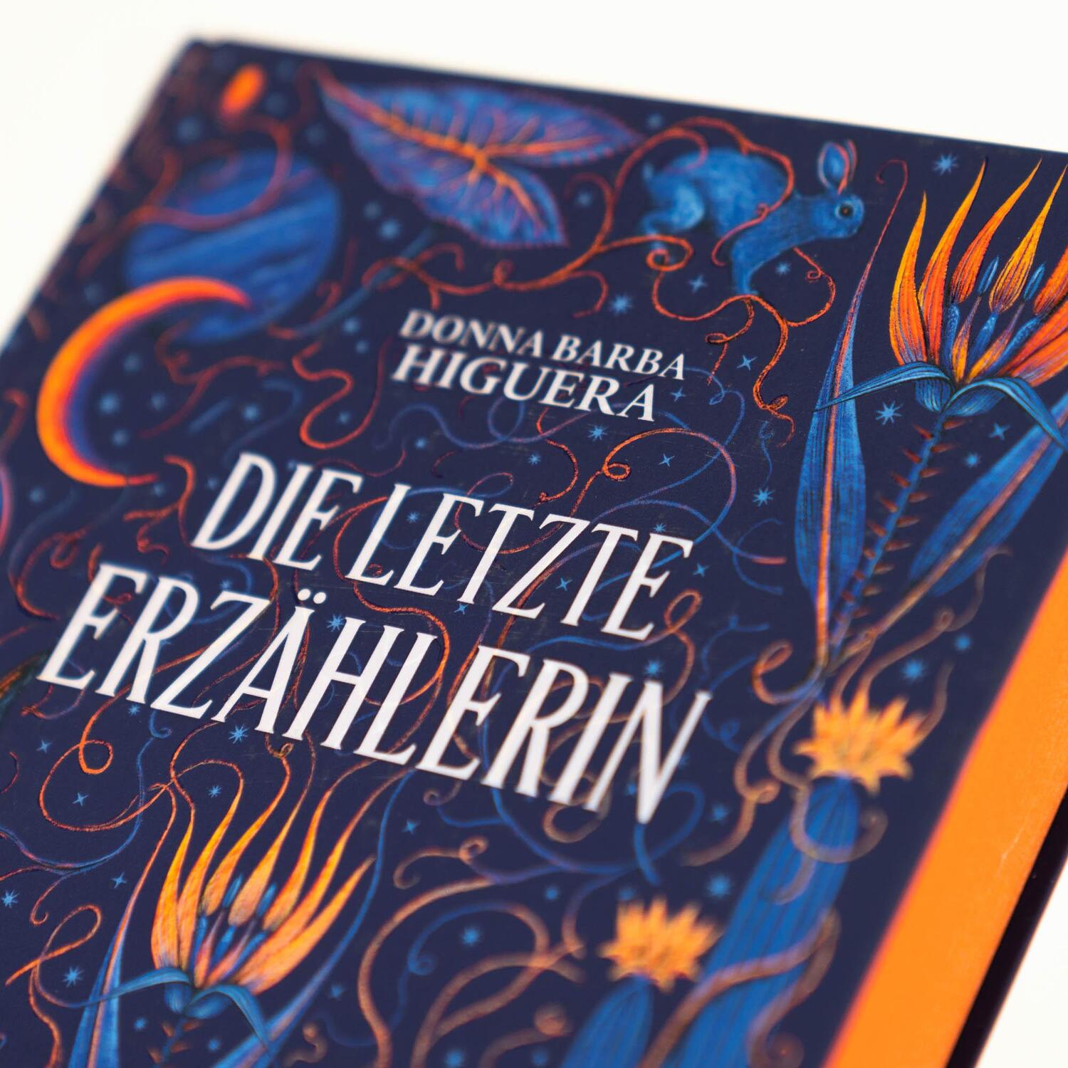 Bild: 9783748802396 | Die letzte Erzählerin | Donna Barba Higuera | Buch | 320 S. | Deutsch