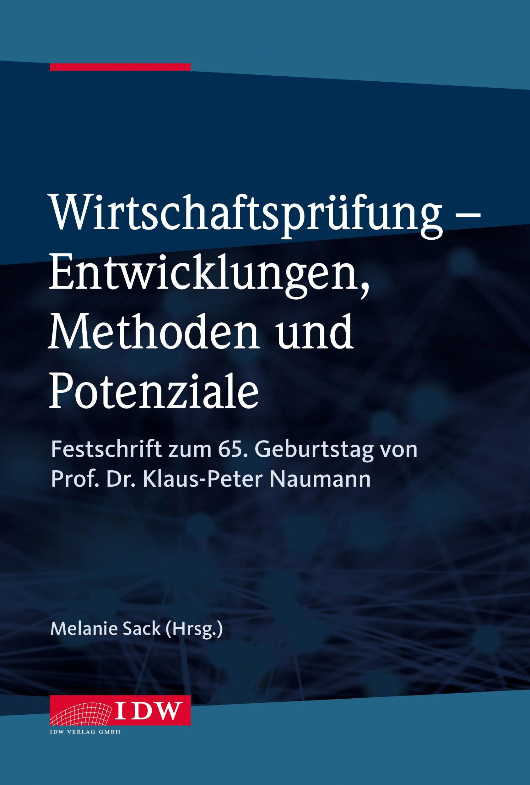 Cover: 9783802129520 | Wirtschaftsprüfung - Entwicklungen, Methoden und Potenziale | Sack