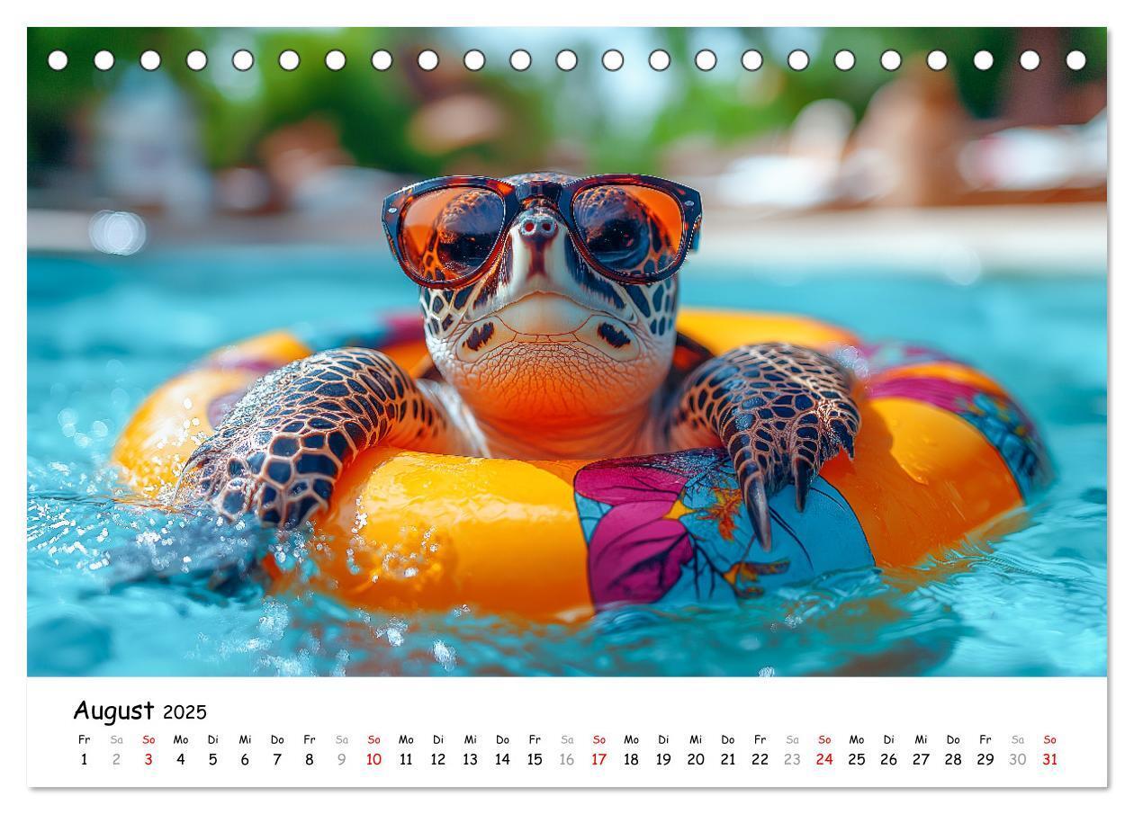 Bild: 9783457215890 | CHILL MAL - Entspannte Schildkröten beim Faulenzen (Tischkalender...