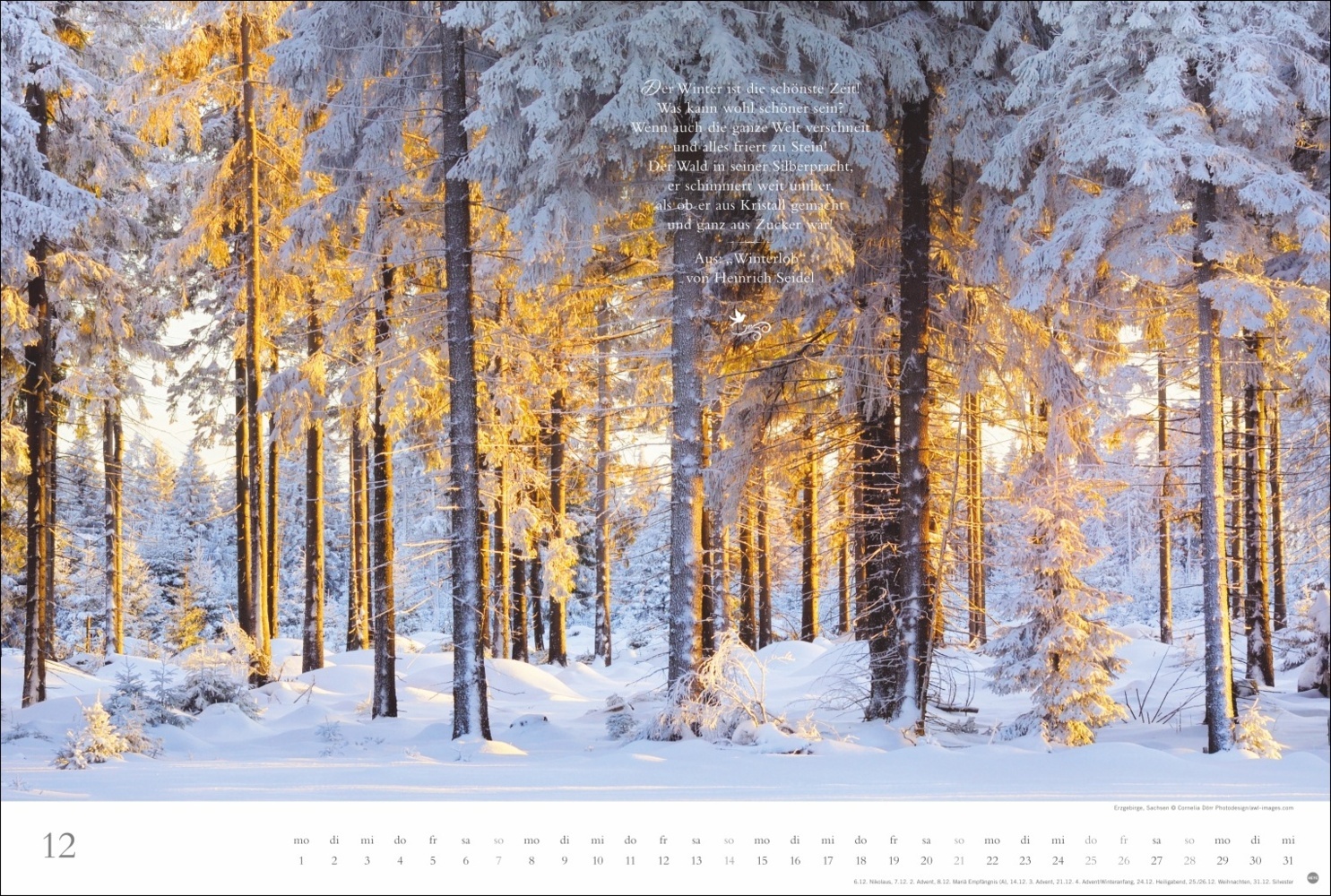 Bild: 9783756404803 | Der deutsche Wald - Ein literarischer Spaziergang Kalender 2025 -...