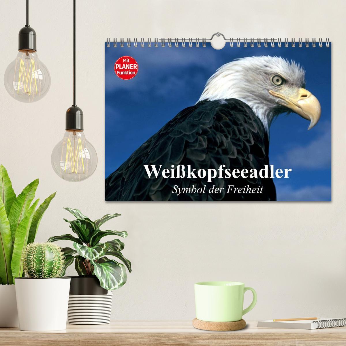 Bild: 9783435510337 | Weißkopfseeadler. Symbol der Freiheit (Wandkalender 2025 DIN A4...