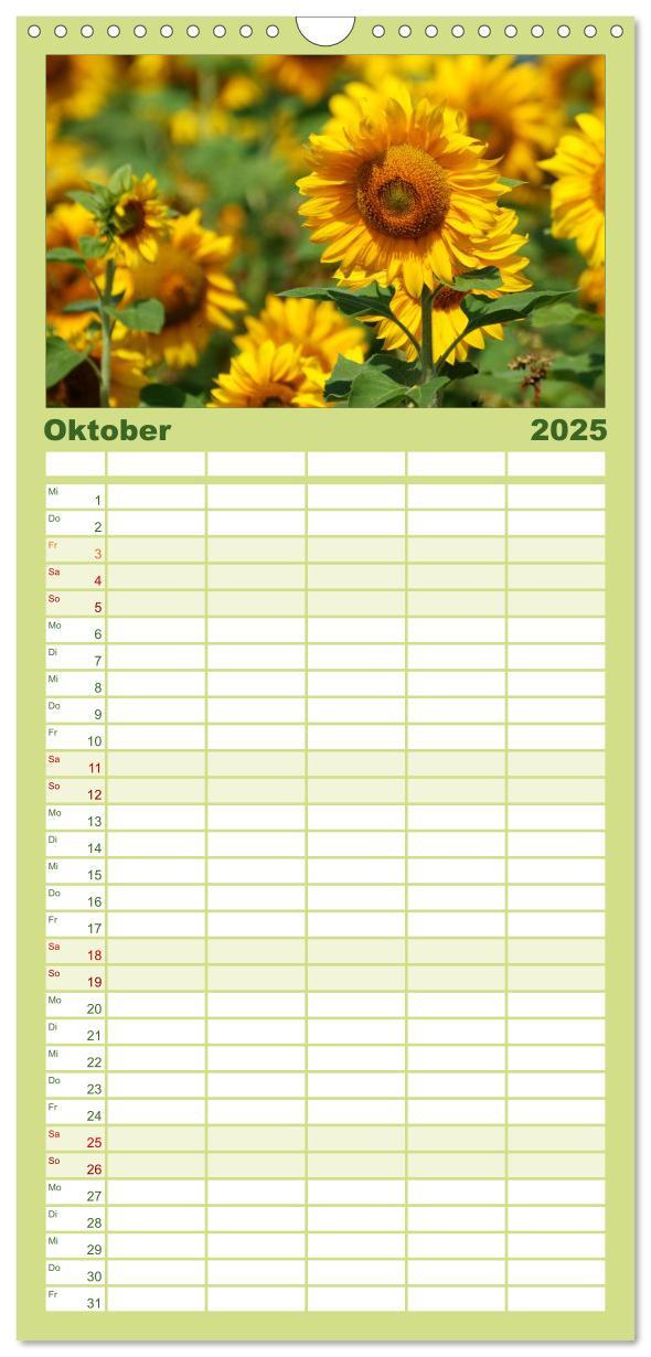 Bild: 9783457110928 | Familienplaner 2025 - Sonnenblumen mit 5 Spalten (Wandkalender, 21...