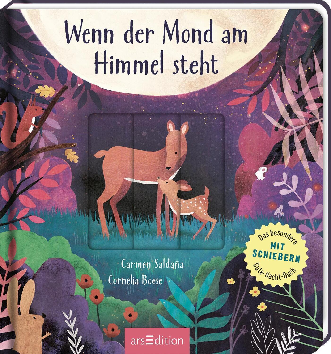 Cover: 9783845851174 | Wenn der Mond am Himmel steht | Cornelia Boese | Buch | 14 S. | 2022