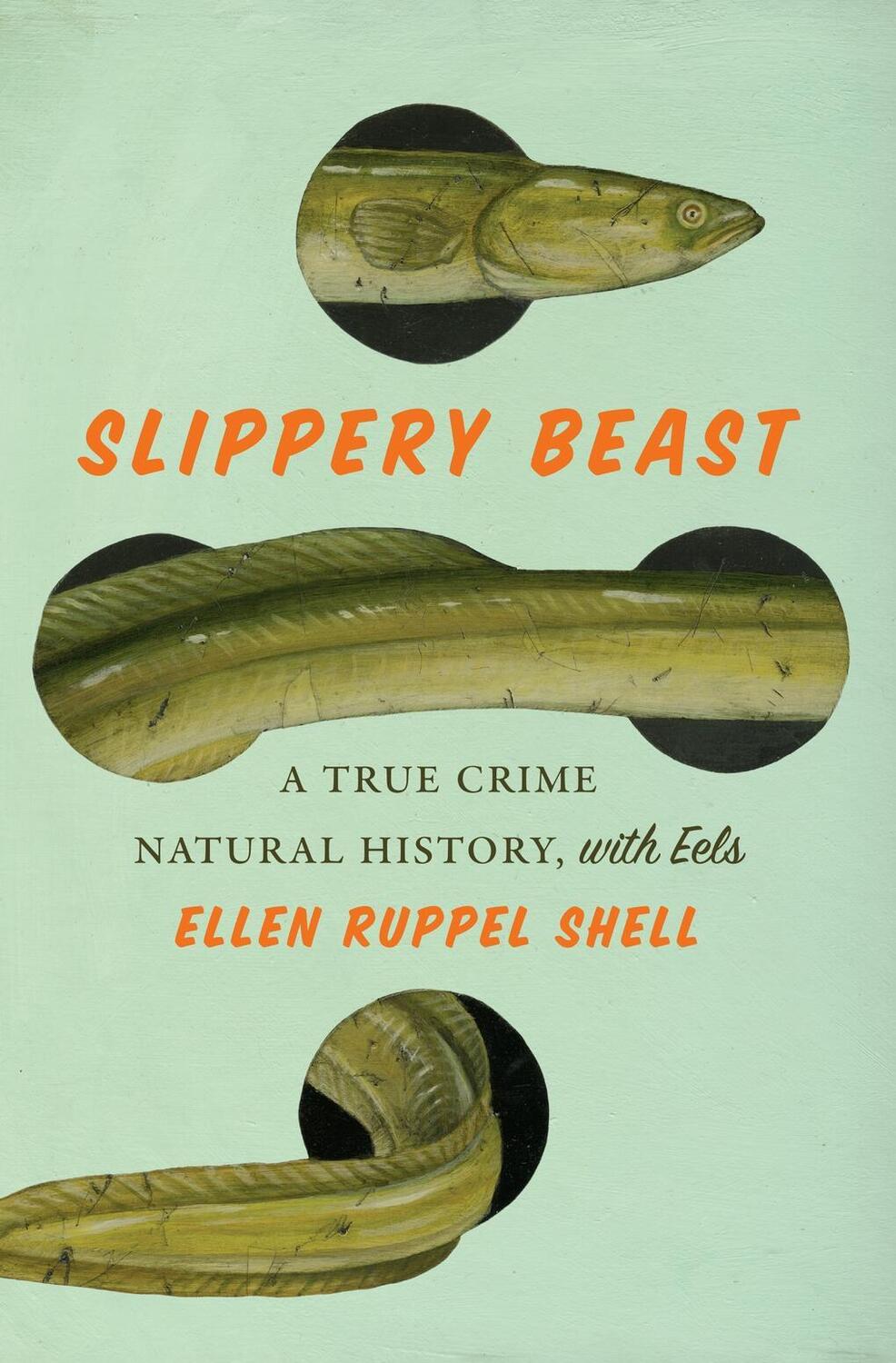 Cover: 9781419765858 | Slippery Beast | A True Crime Natural History, with Eels | Shell