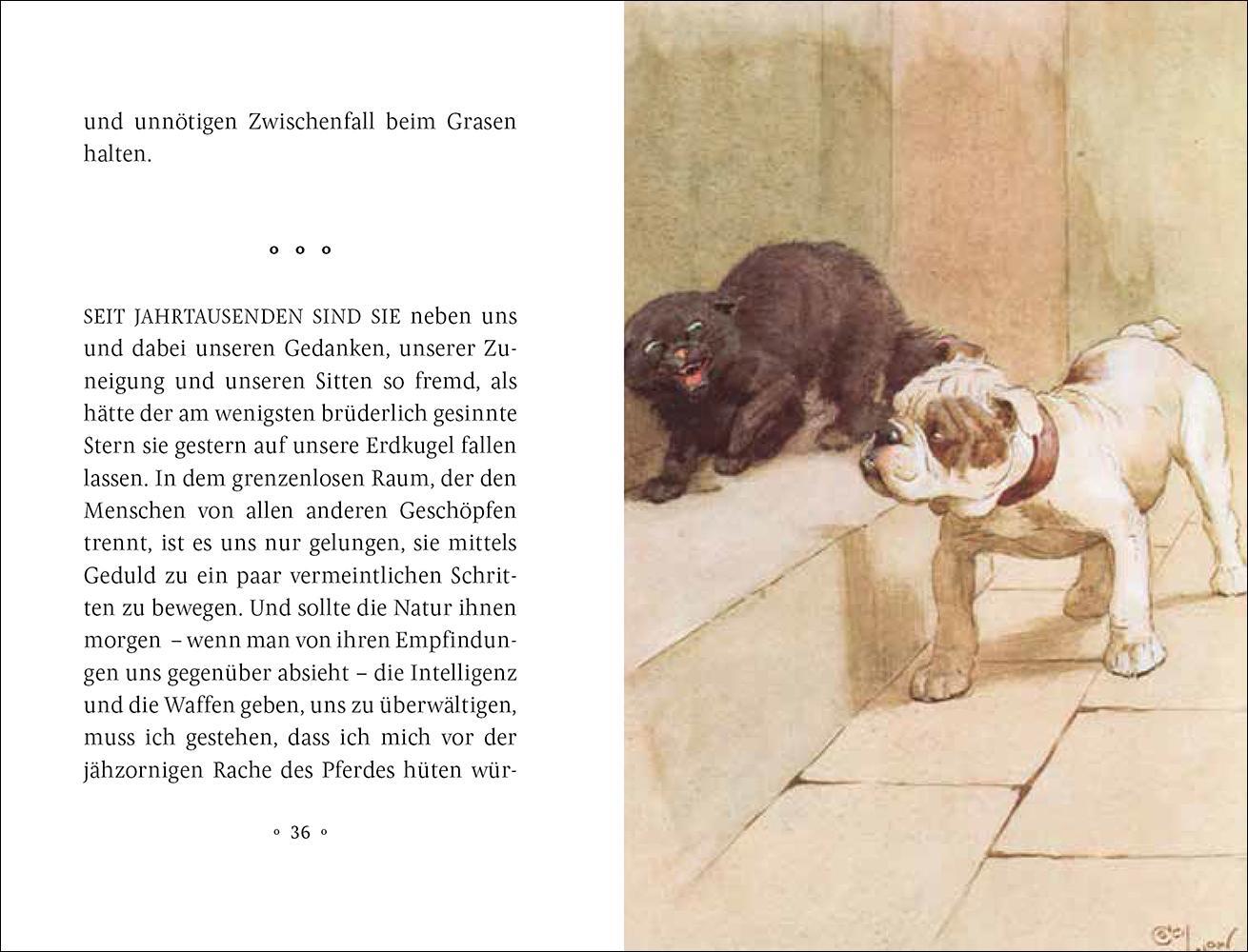 Bild: 9783458205272 | Mein Hund | Maurice Maeterlinck | Buch | Insel-Bücherei | 45 S. | 2020