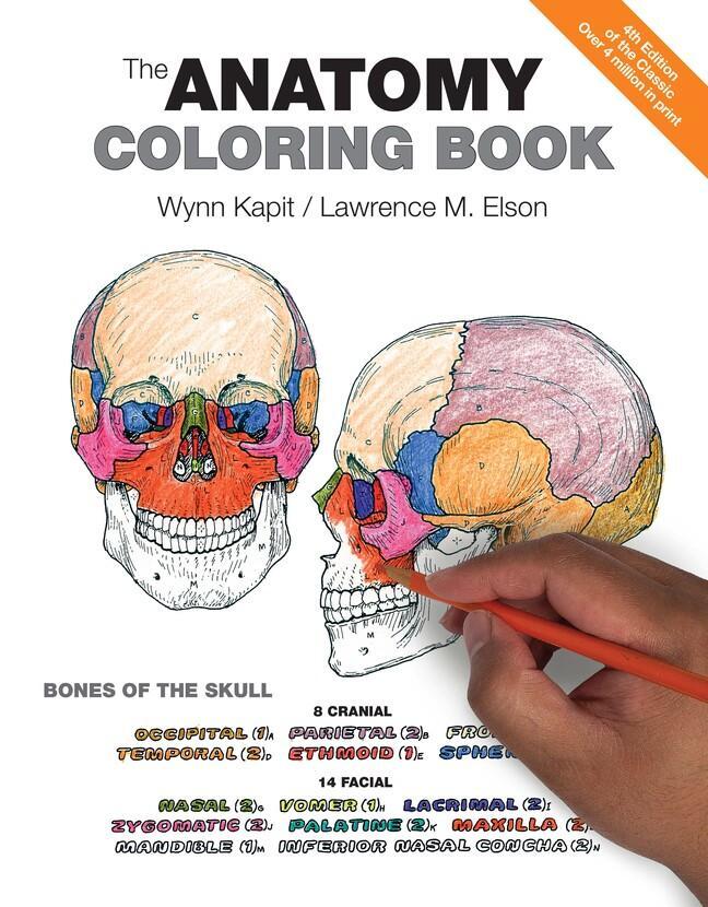 Cover: 9780321832016 | Anatomy Coloring Book, The | Wynn Kapit (u. a.) | Taschenbuch | 2013