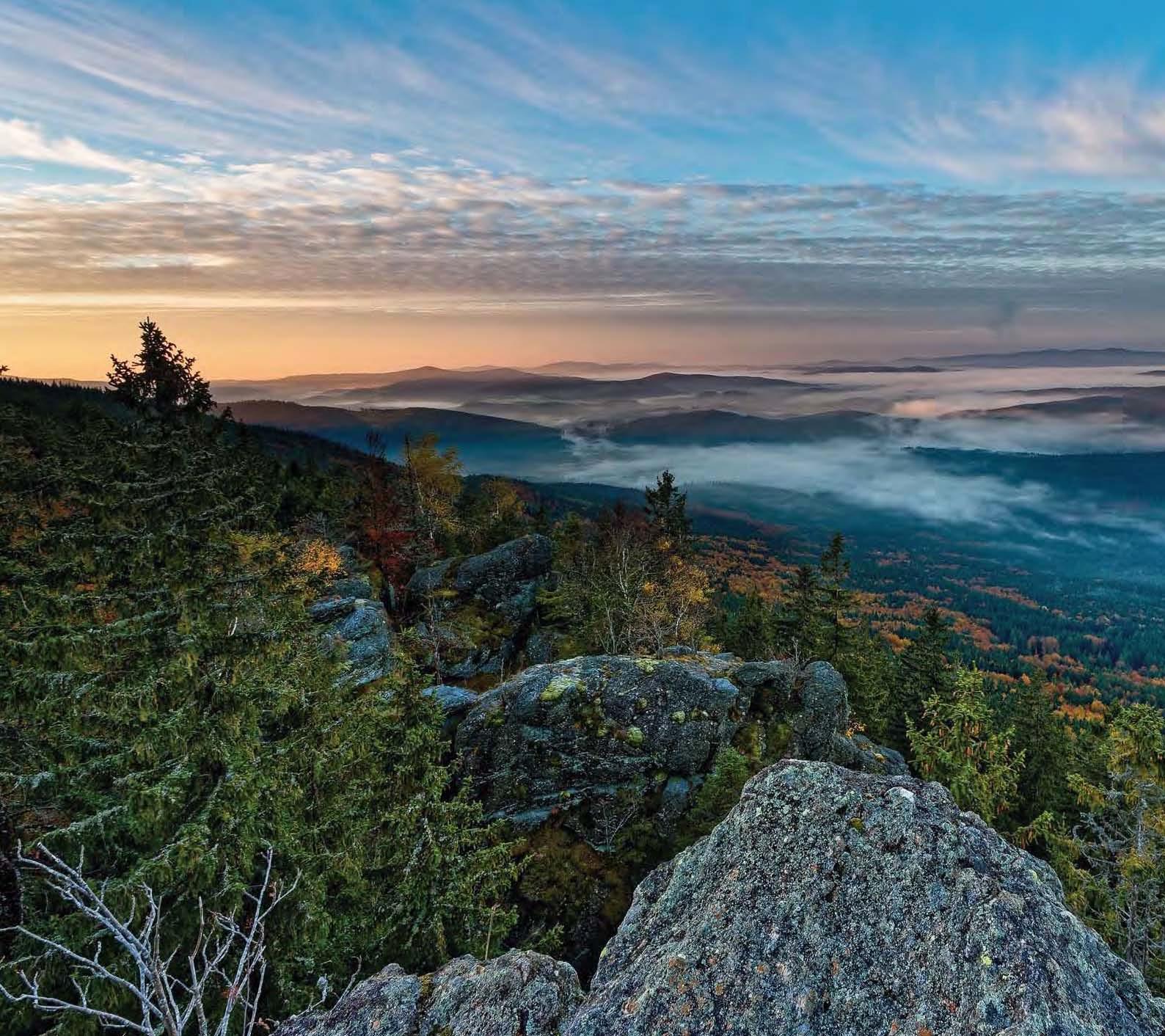 Bild: 9783866467866 | Die Schönheit des Augenblicks | Natur im Nationalpark Bayerischer Wald